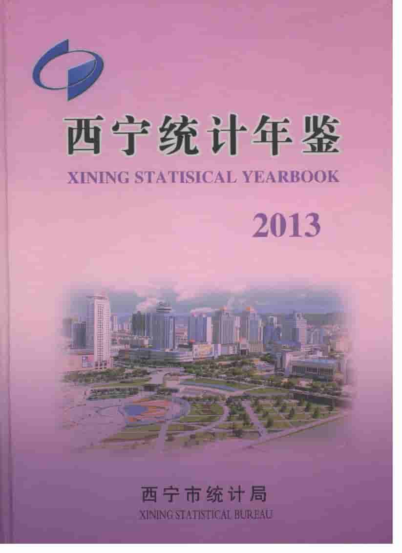 2013年西宁统计年鉴封面