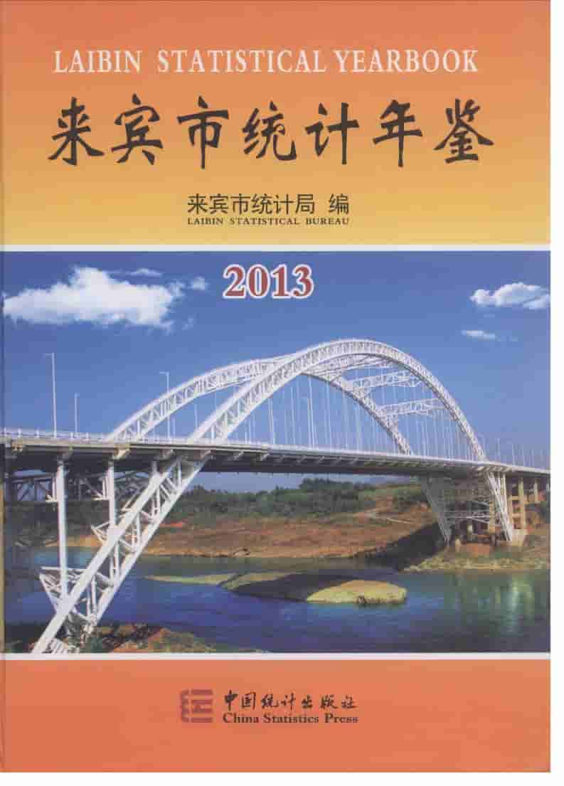 2013年来宾市统计年鉴封面