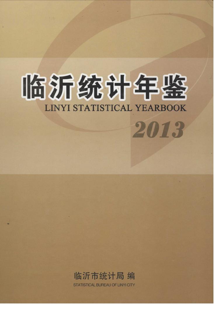 2013年临沂统计年鉴封面