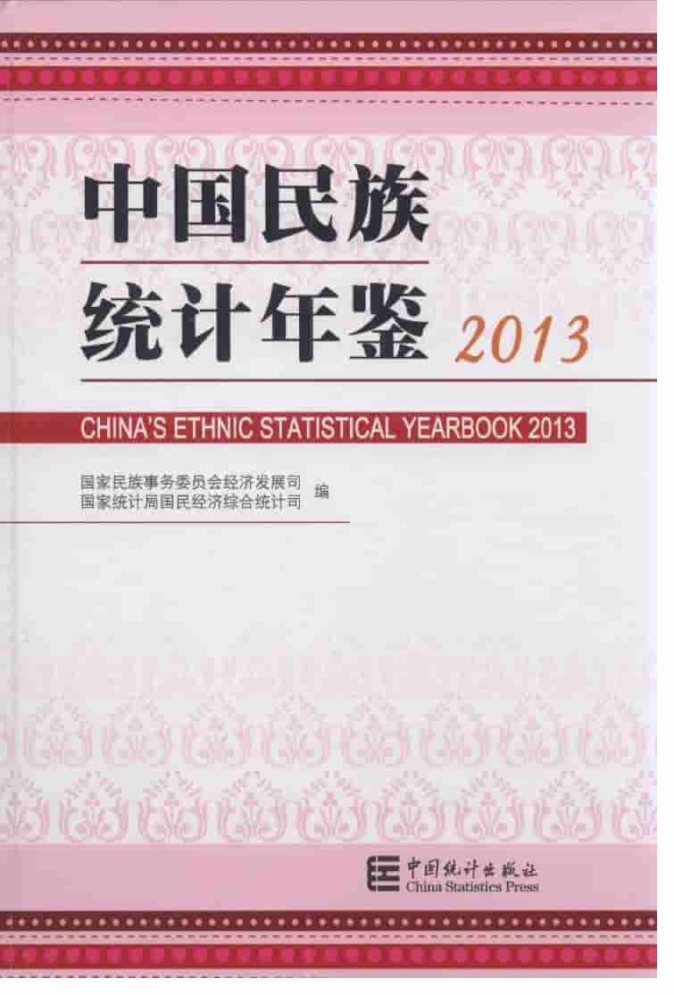 2013年中国民族统计年鉴封面