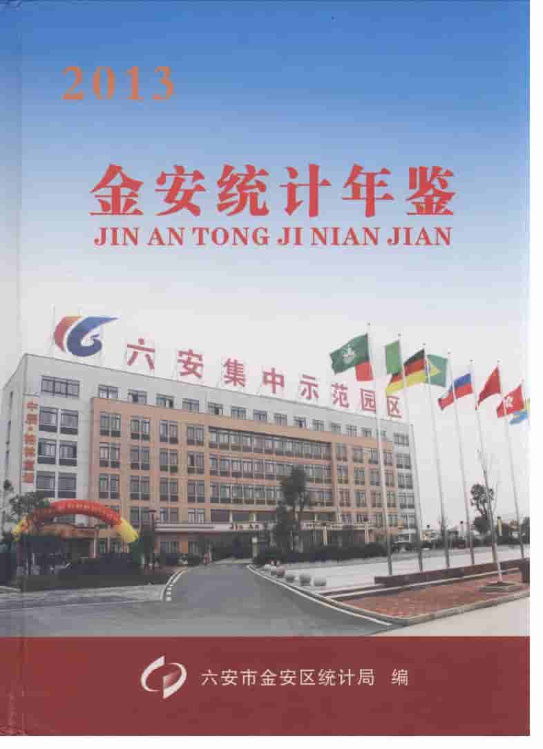 2013年金安统计年鉴封面