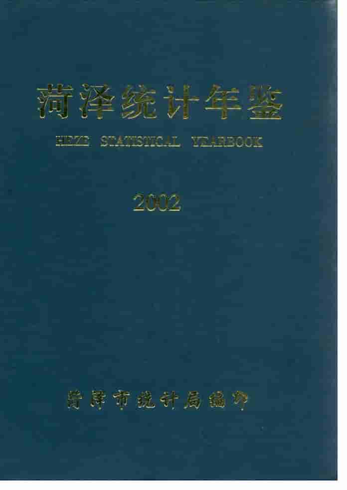 2002年菏泽统计年鉴封面