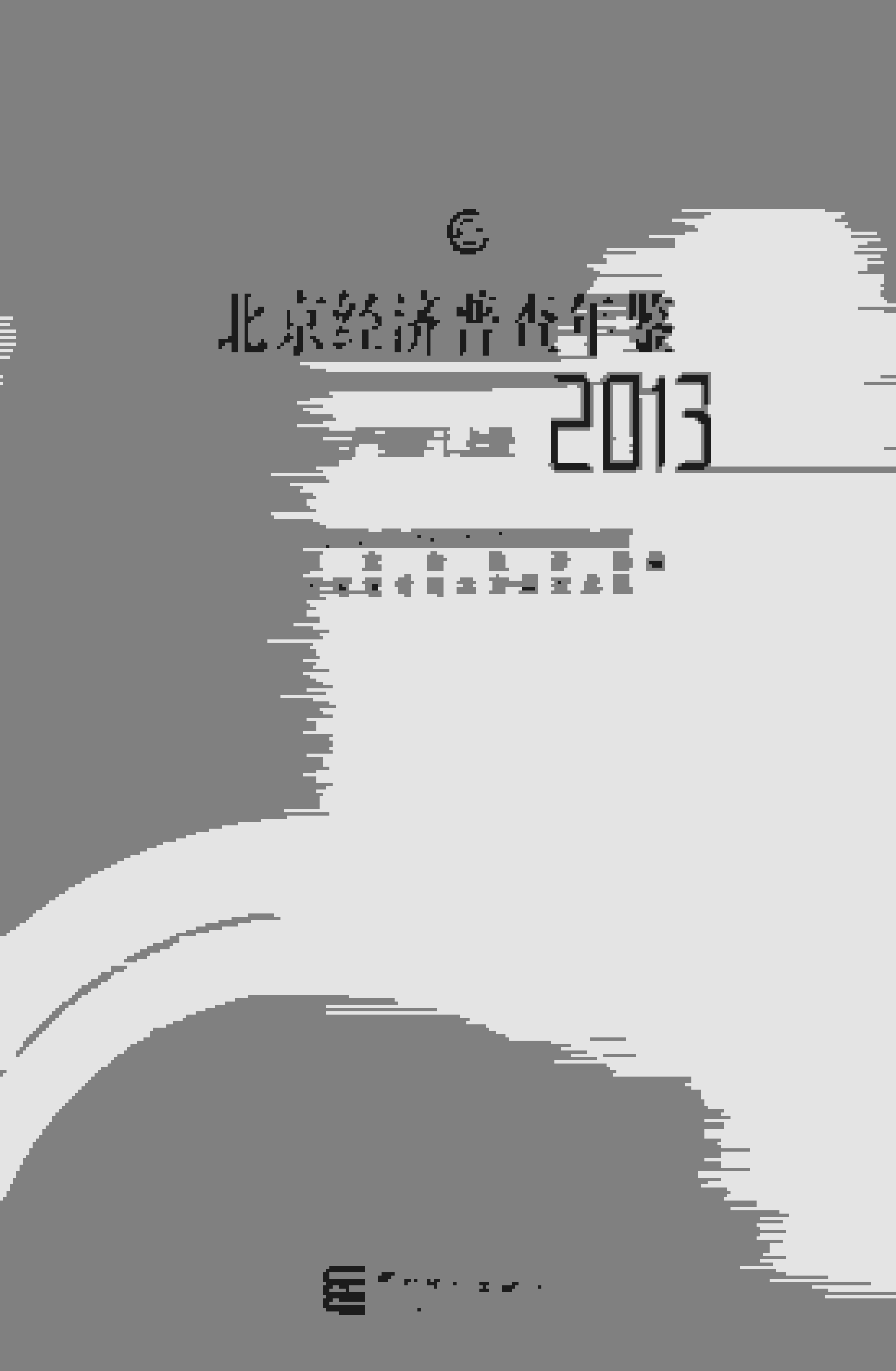 2013年北京经济普查年鉴封面