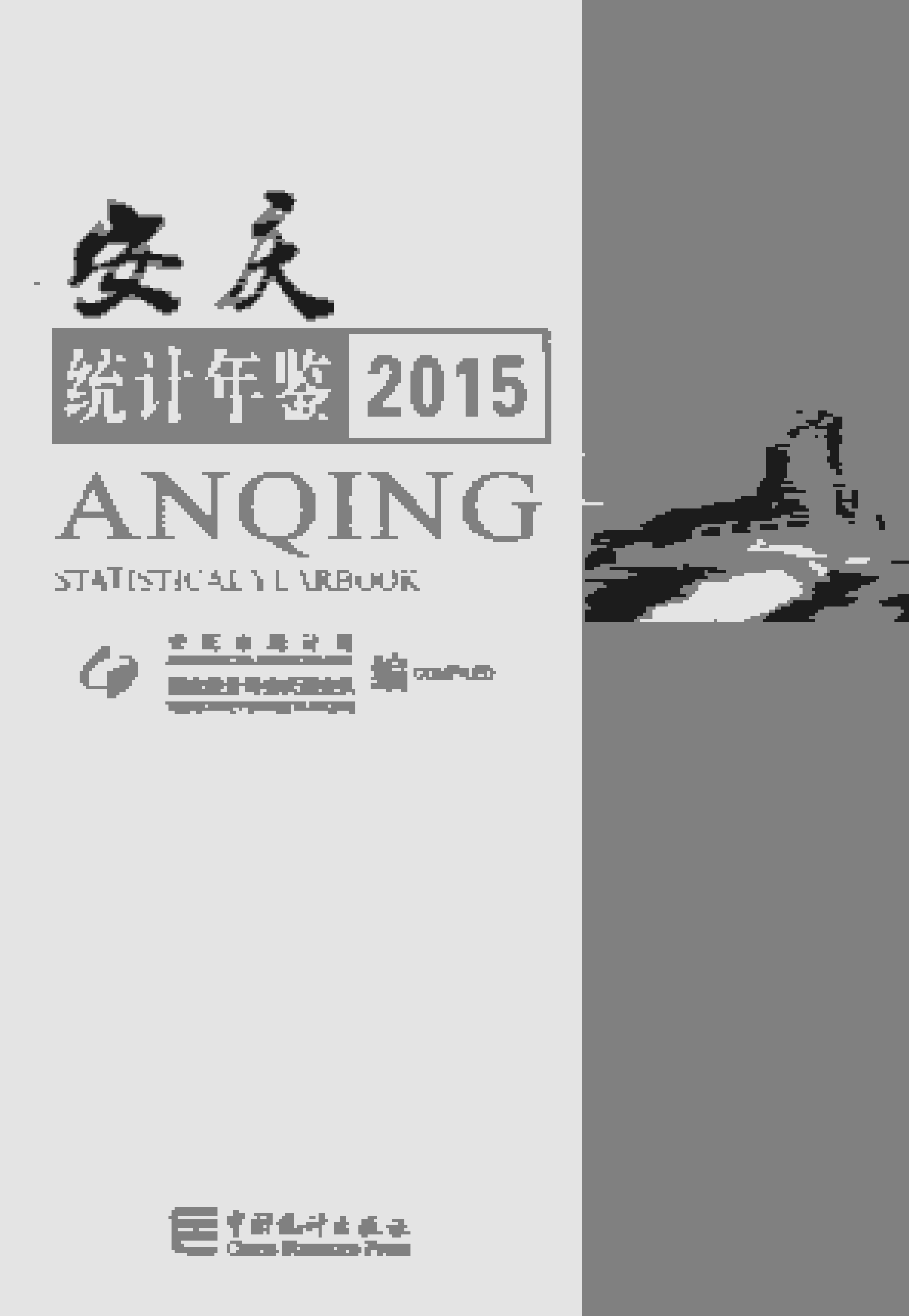 2015年安庆统计年鉴封面