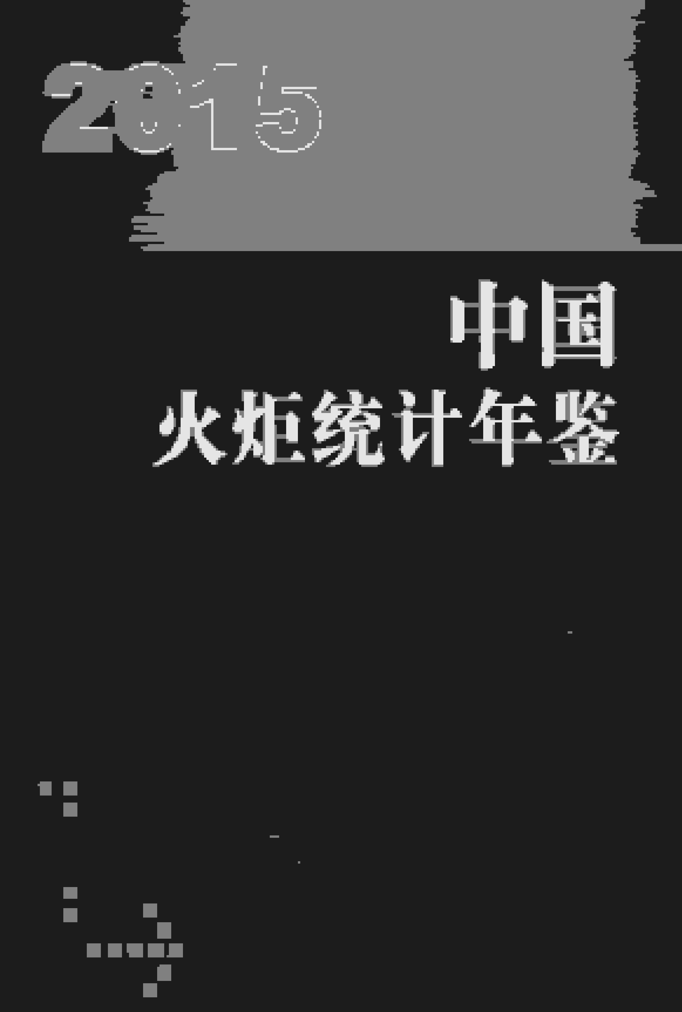 2015年中国火炬统计年鉴封面