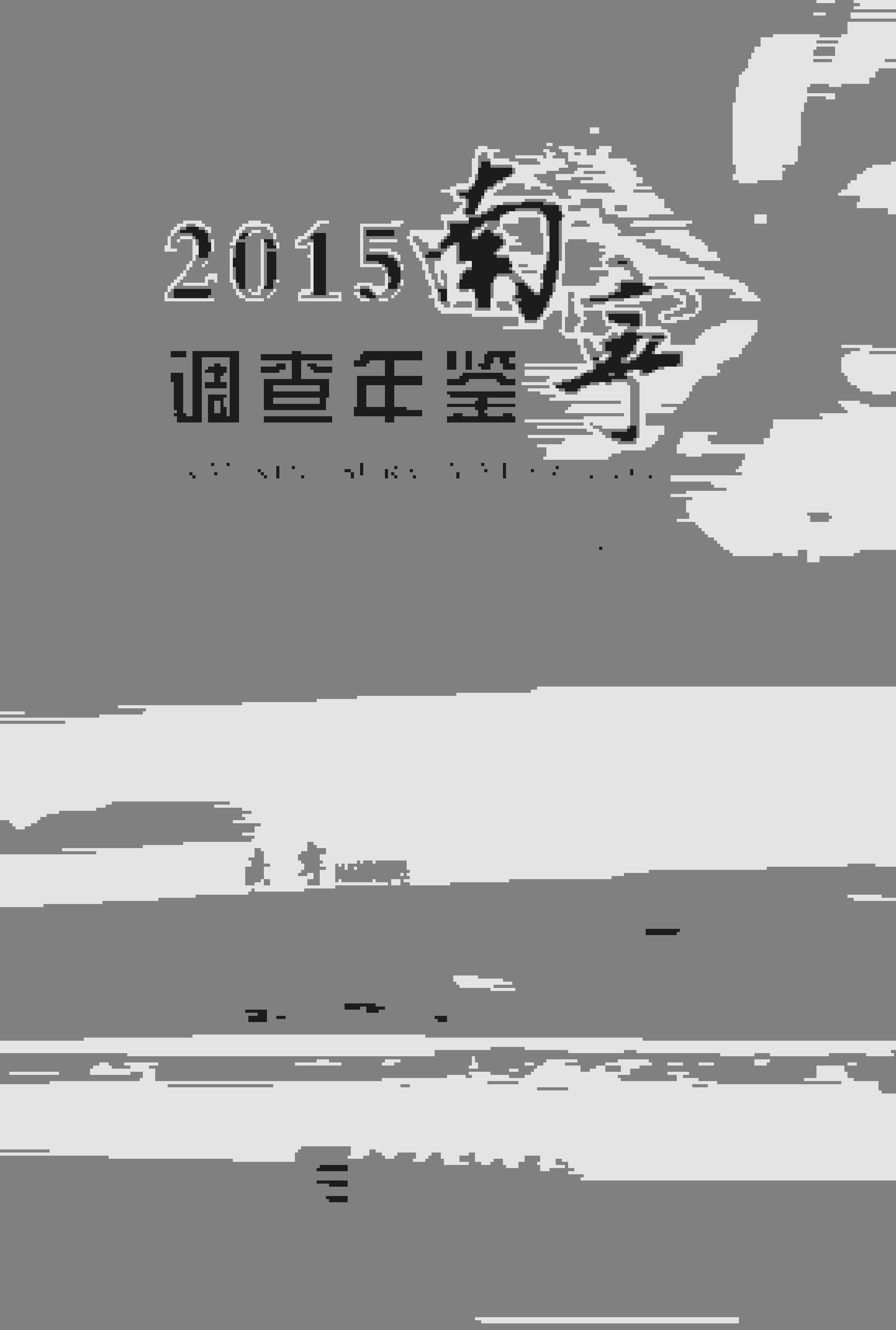 2015年南宁调查年鉴封面