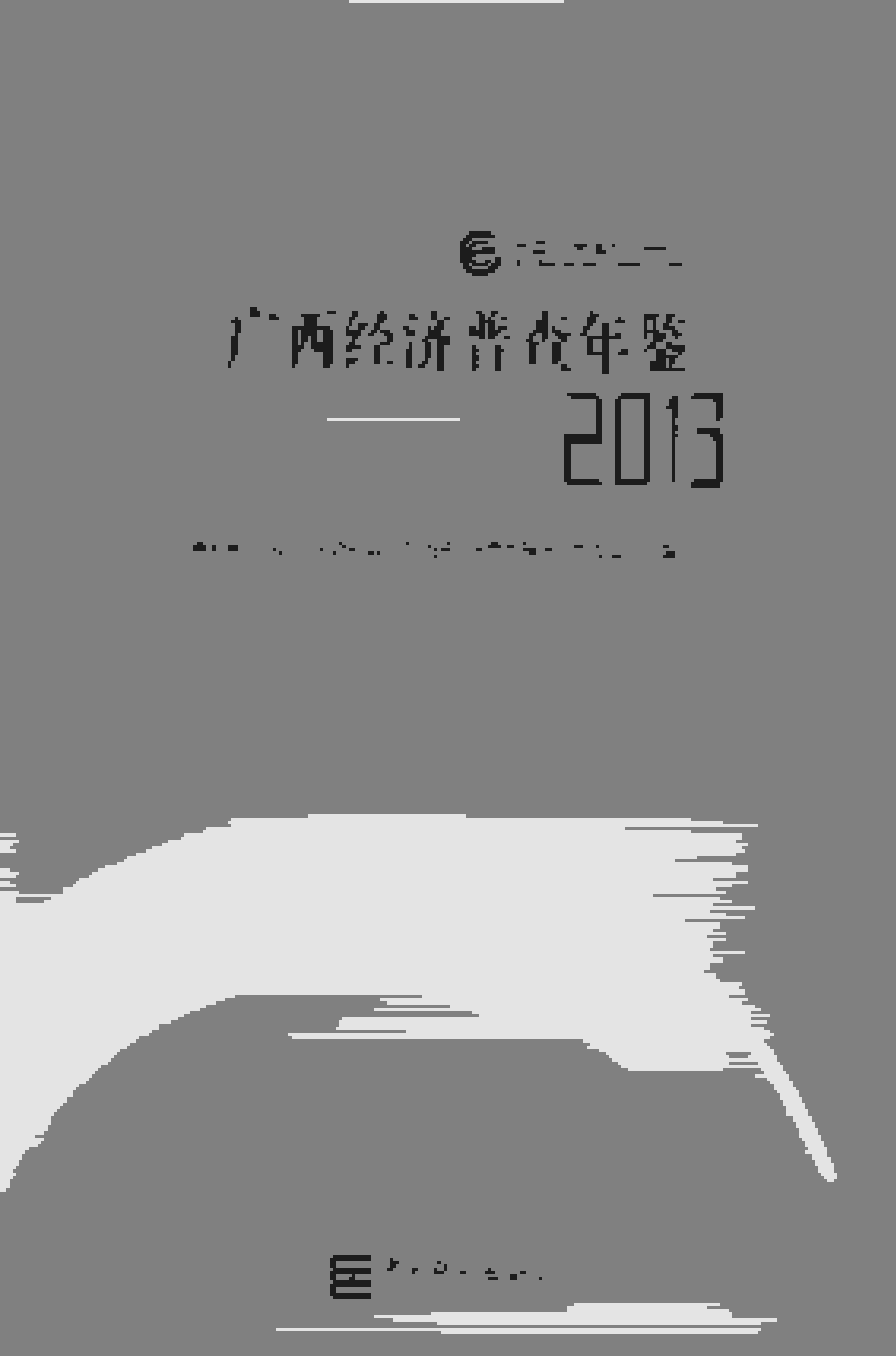 2013年广西经济普查年鉴封面