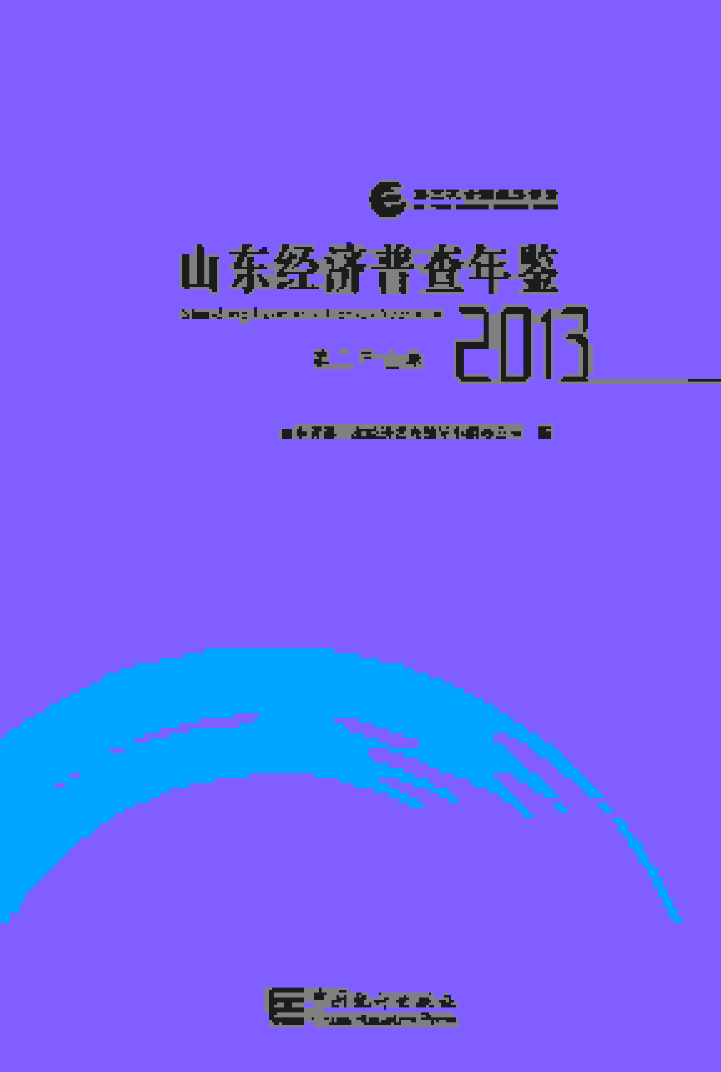 2013年山东经济普查年鉴封面