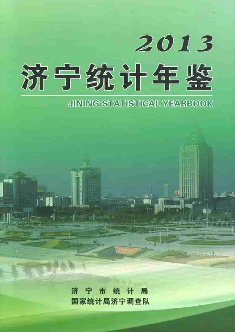 2013年济宁统计年鉴封面