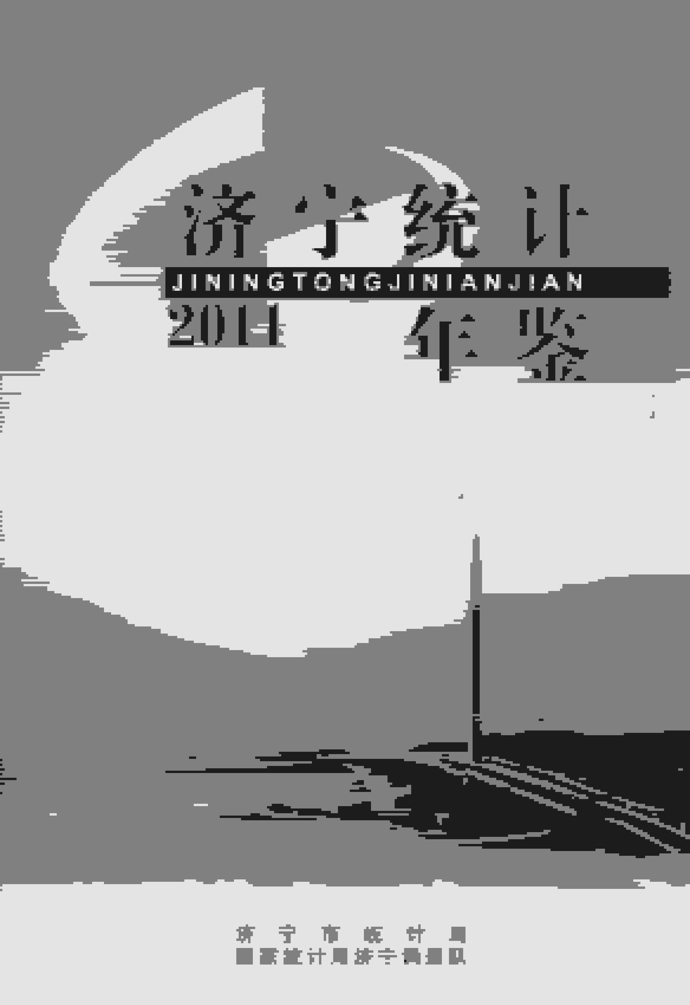 2011年济宁统计年鉴封面