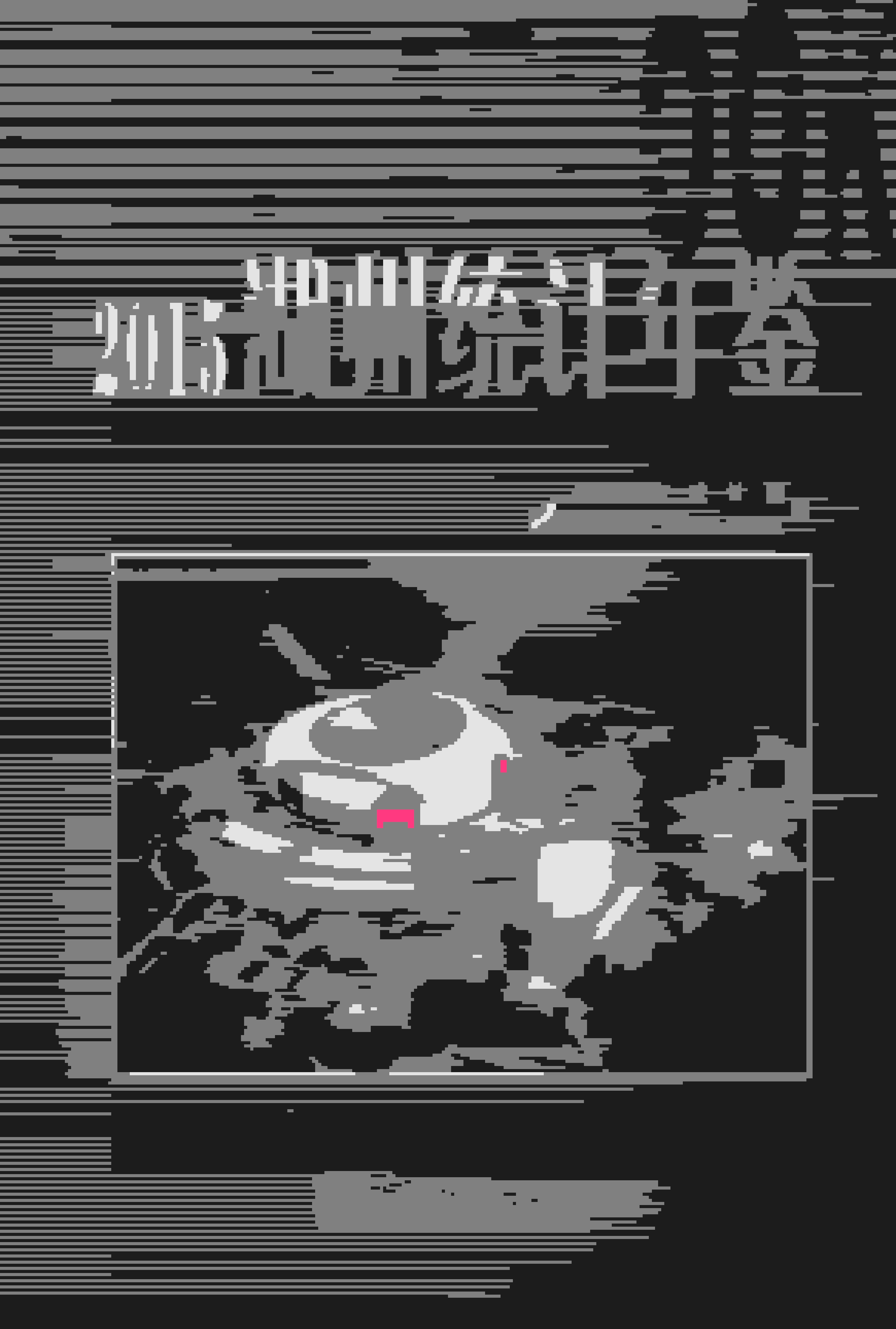 2015年湖州统计年鉴封面