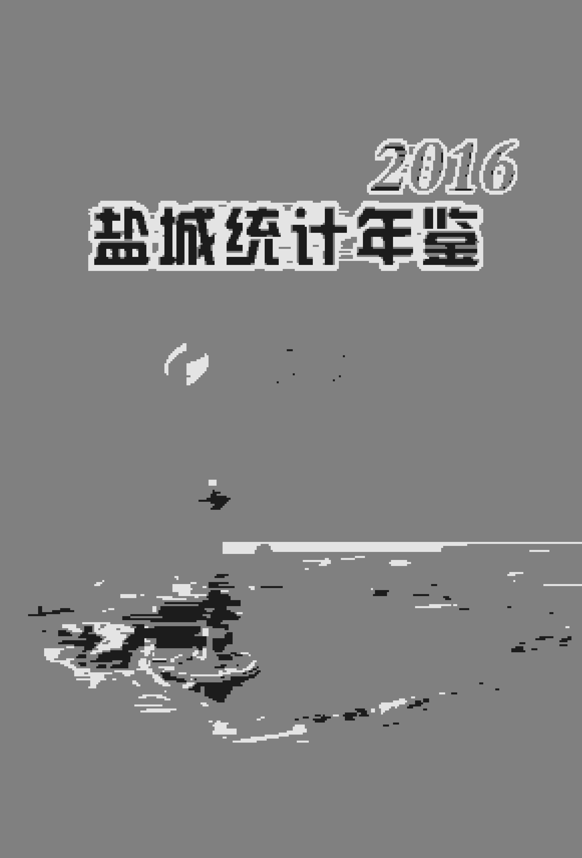 2016年盐城统计年鉴封面