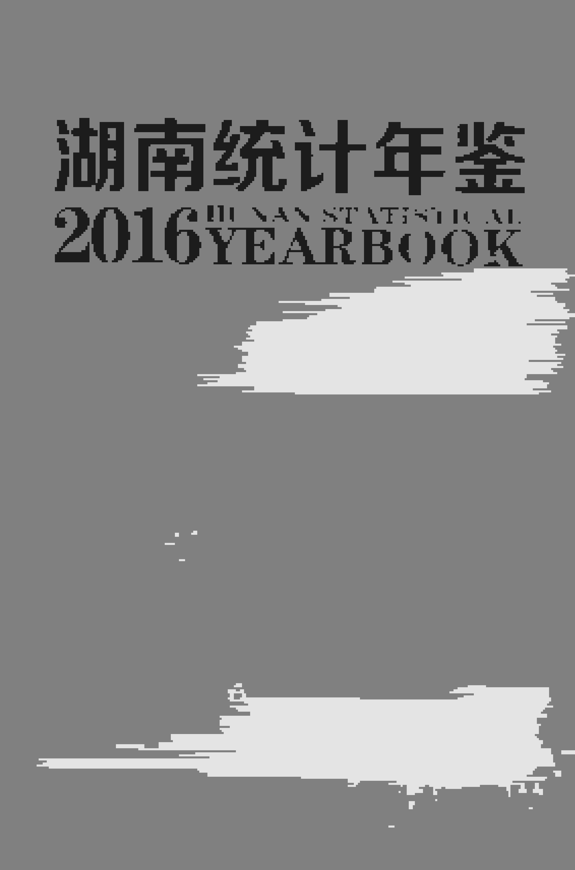 2016年湖南统计年鉴封面