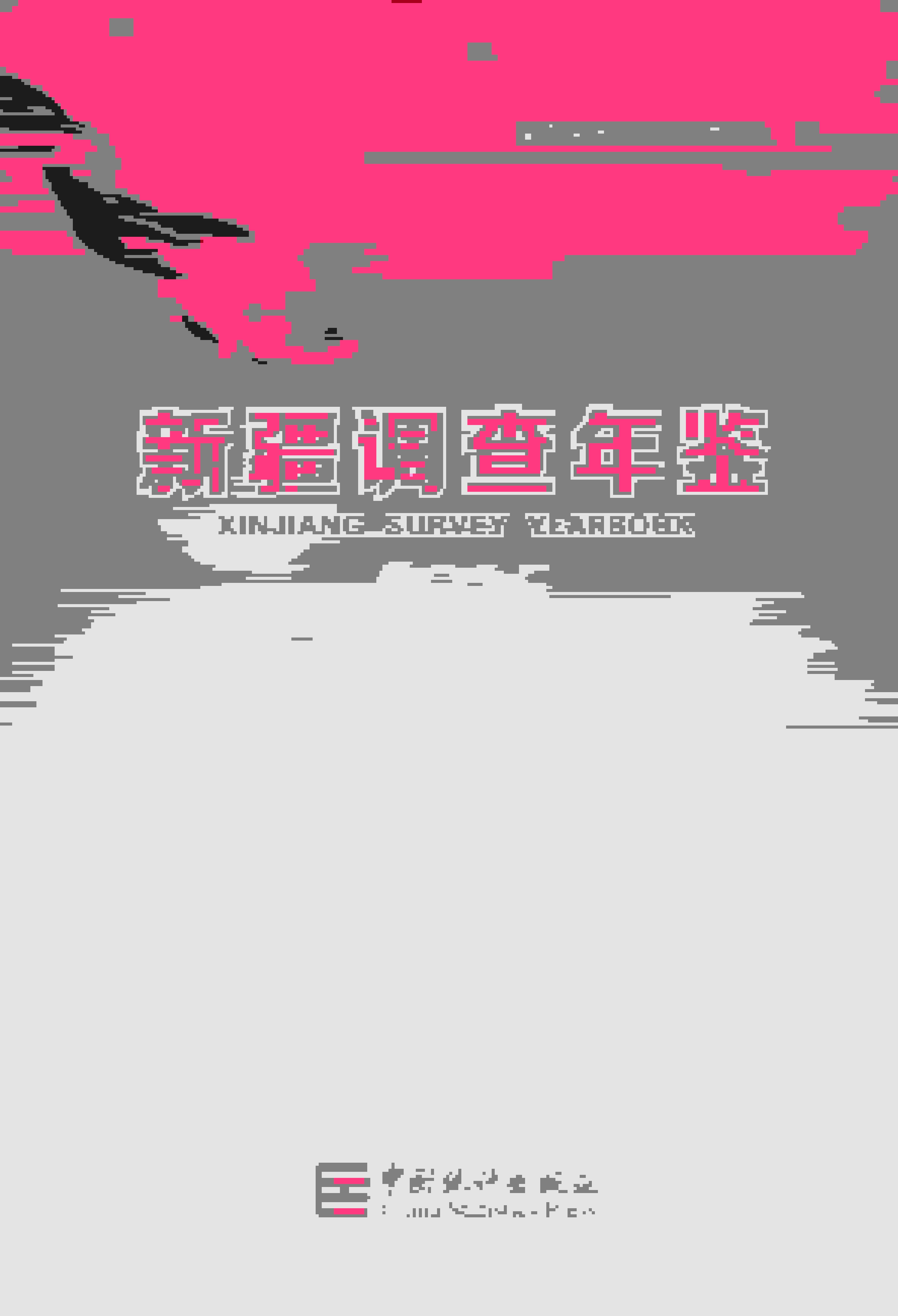 2015年新疆调查年鉴封面