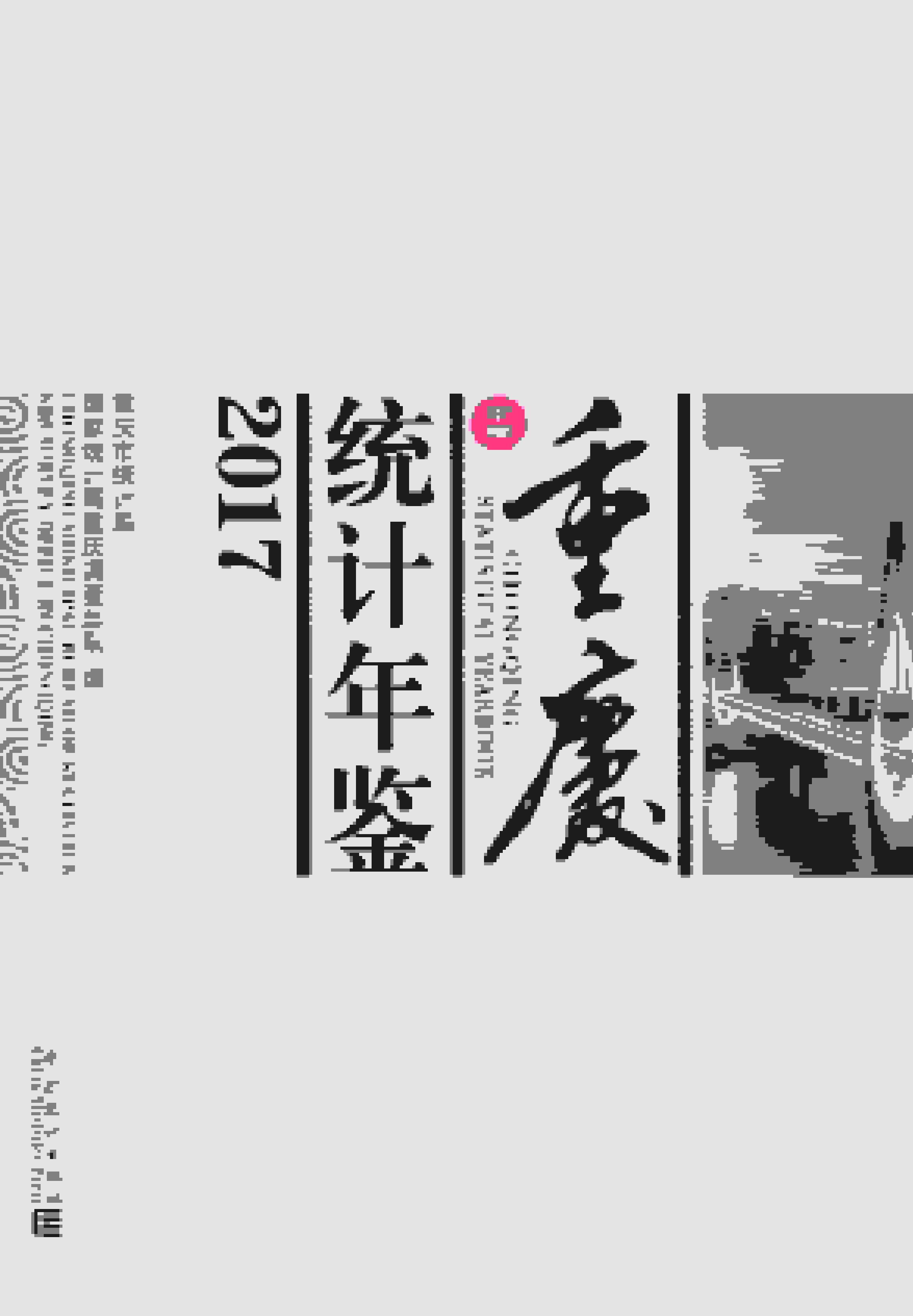 2017年重庆统计年鉴封面