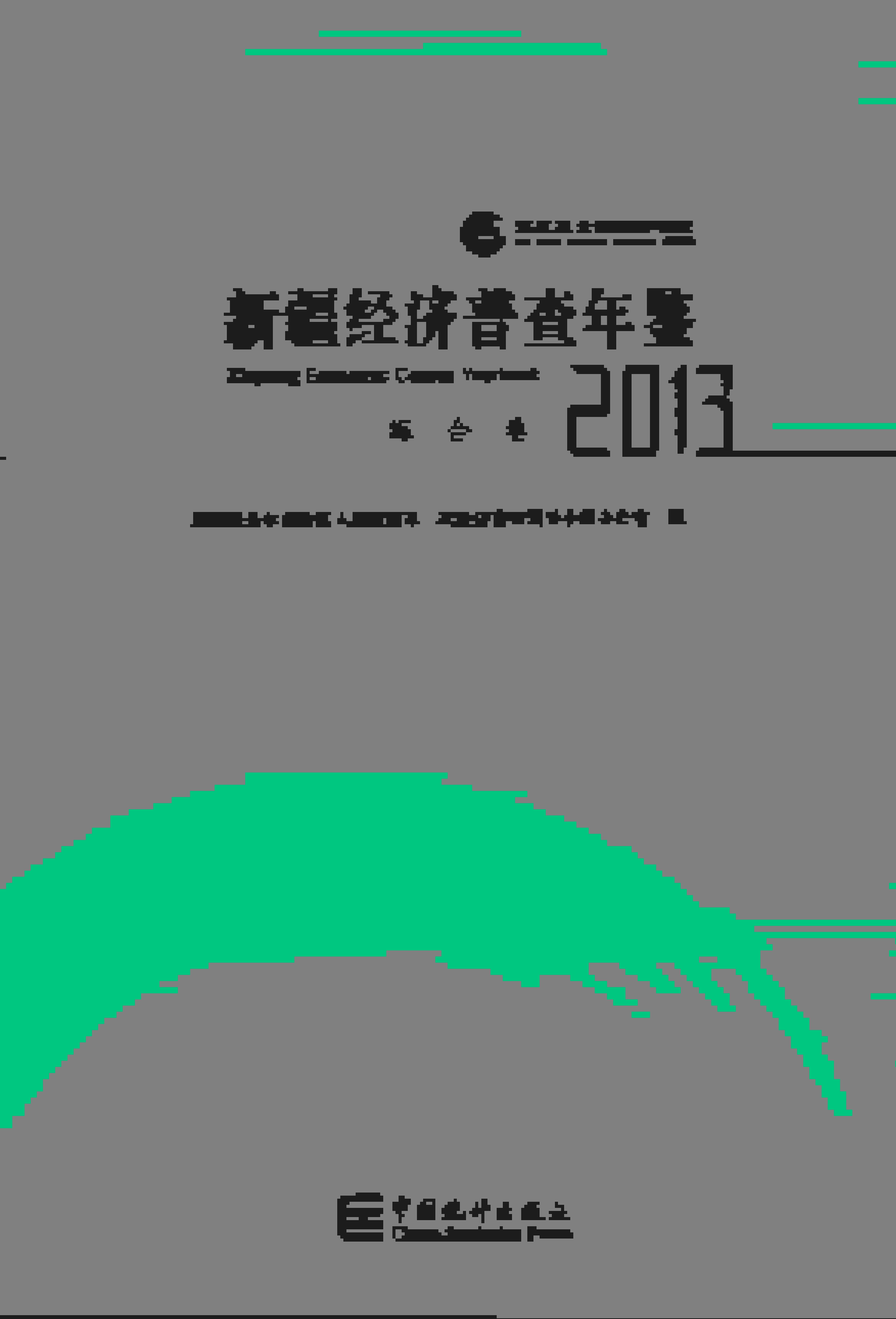 2013年新疆经济普查年鉴封面