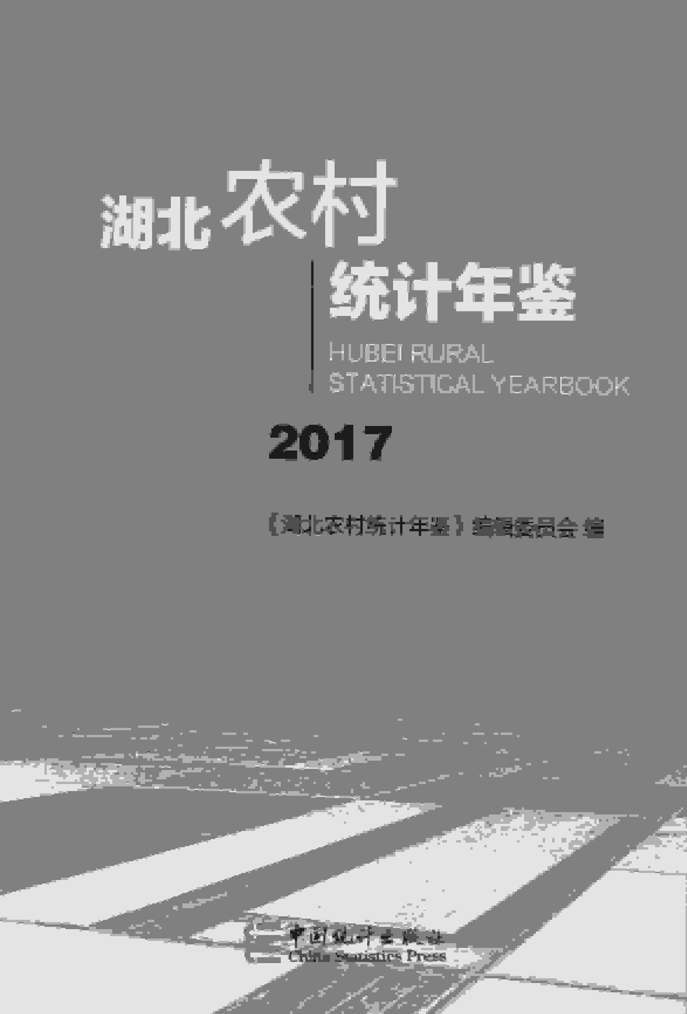 2017年湖北农村统计年鉴封面