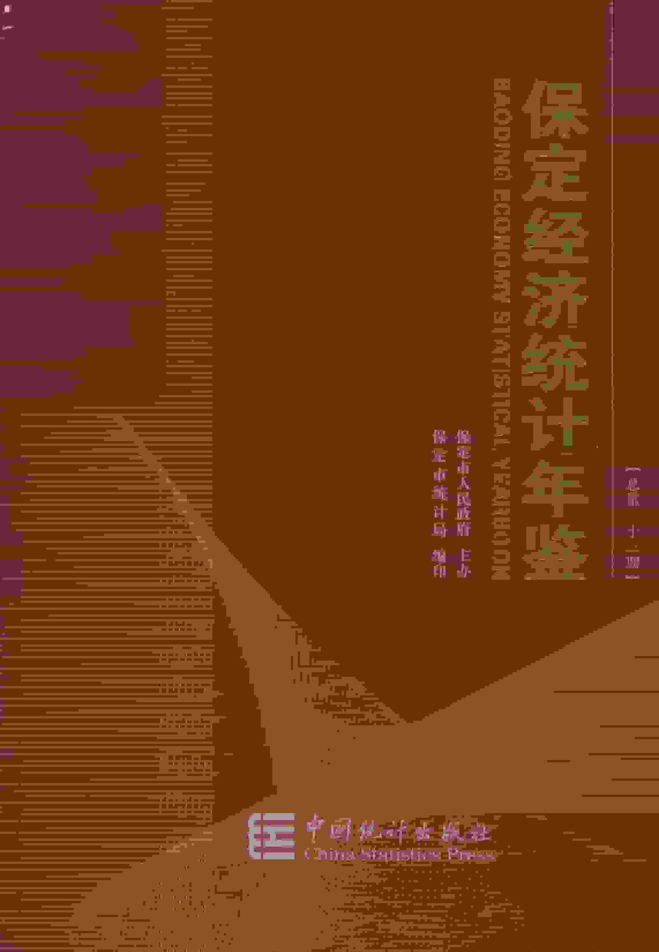 2017年保定经济统计年鉴封面