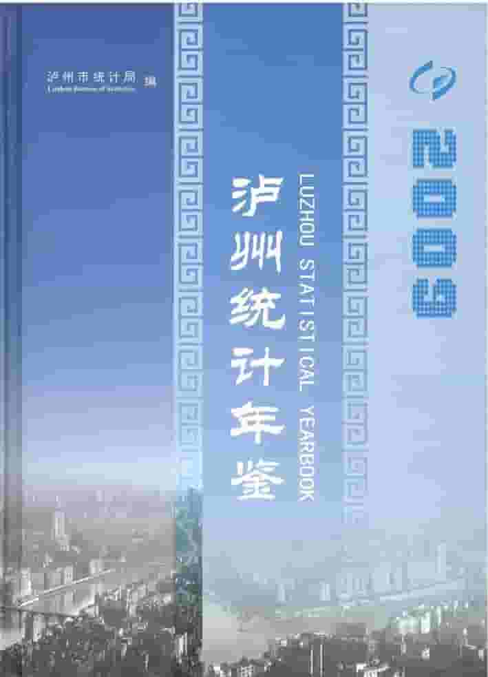 2009年泸州统计年鉴封面