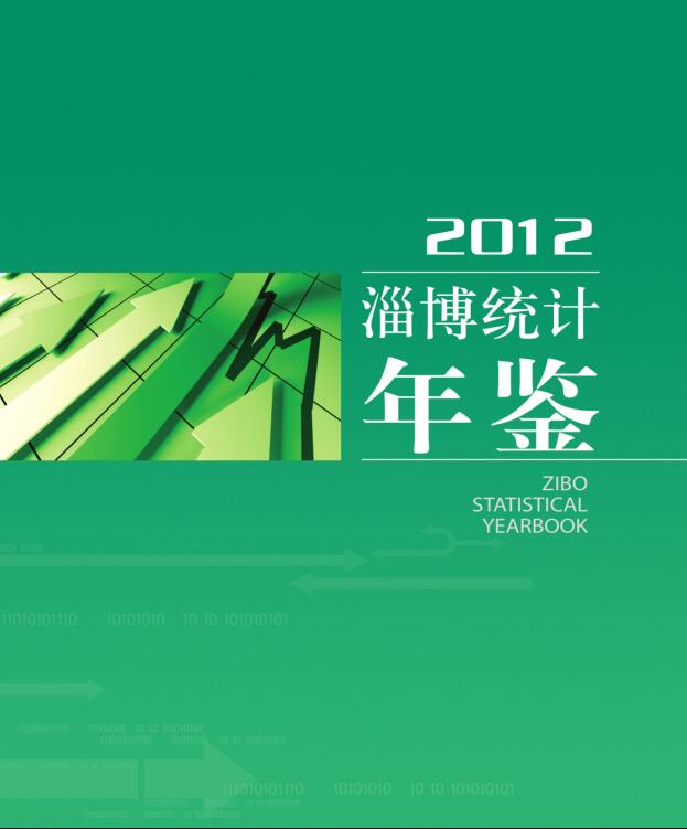 2012年淄博统计年鉴封面