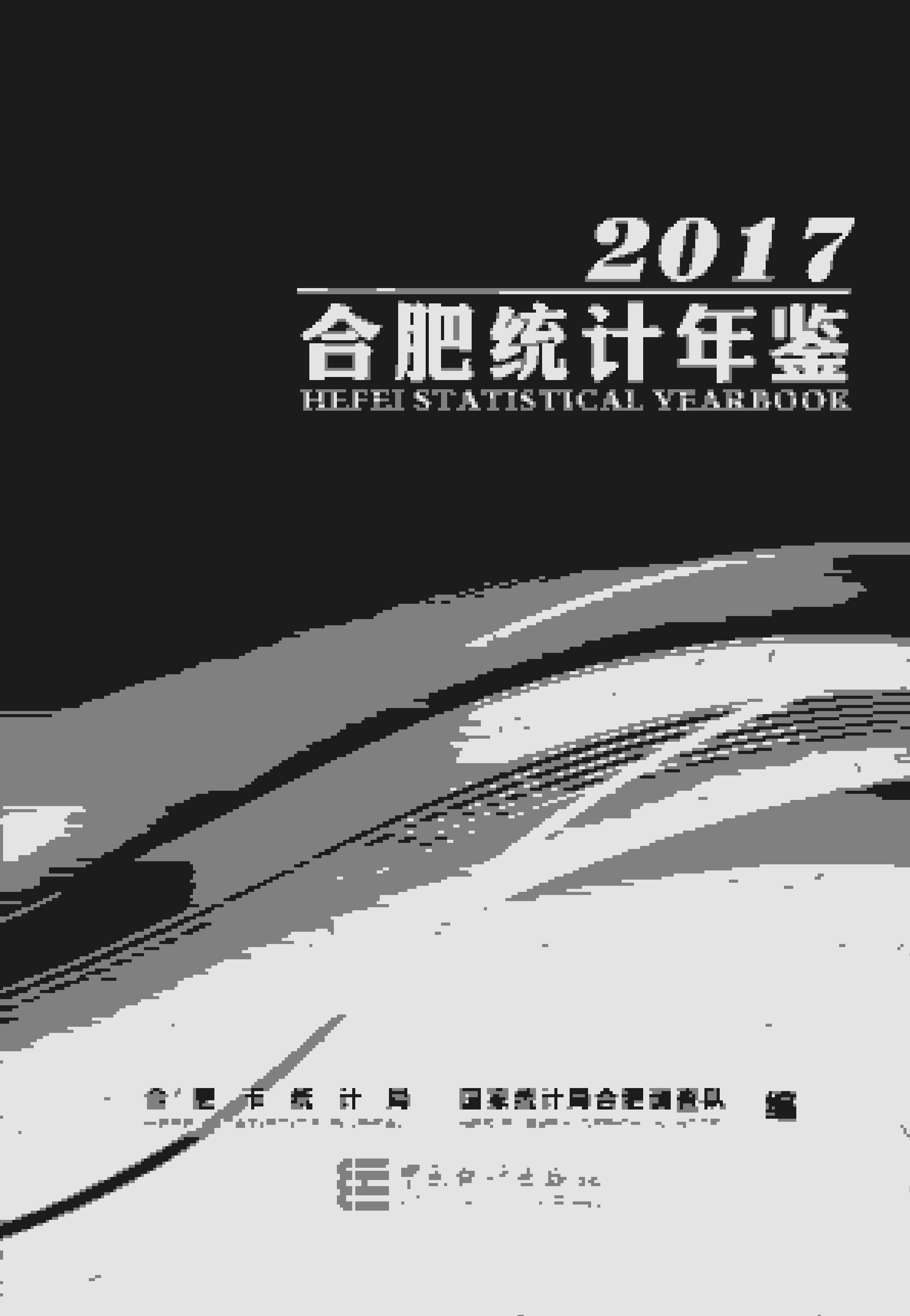 2017年合肥统计年鉴封面