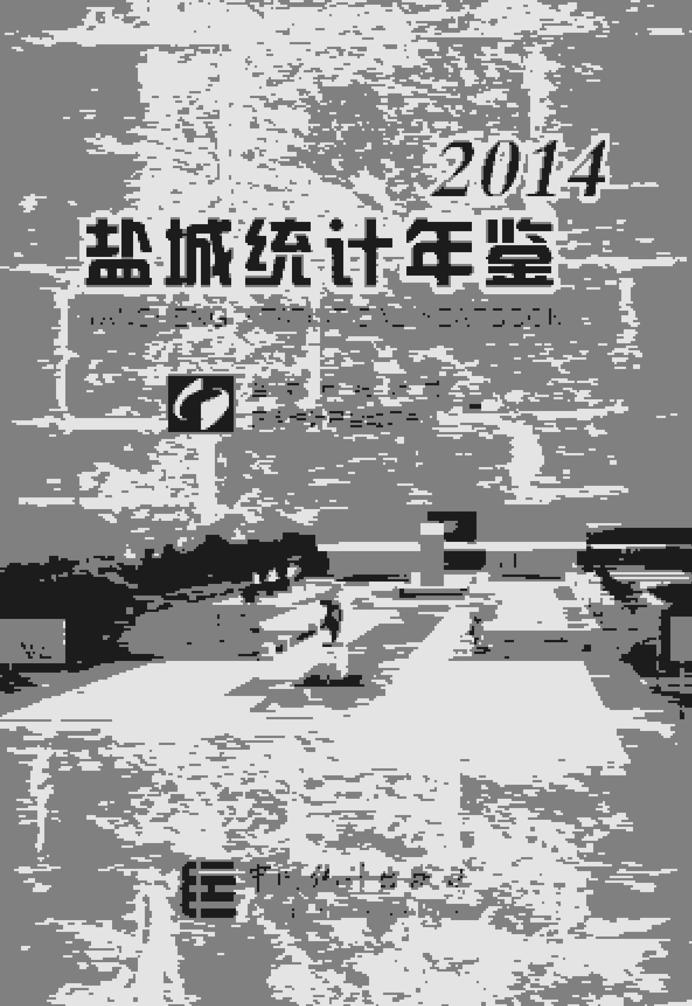 2014年盐城统计年鉴封面