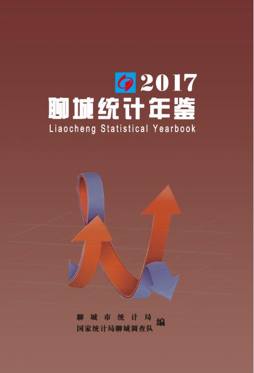 2017年聊城统计年鉴封面