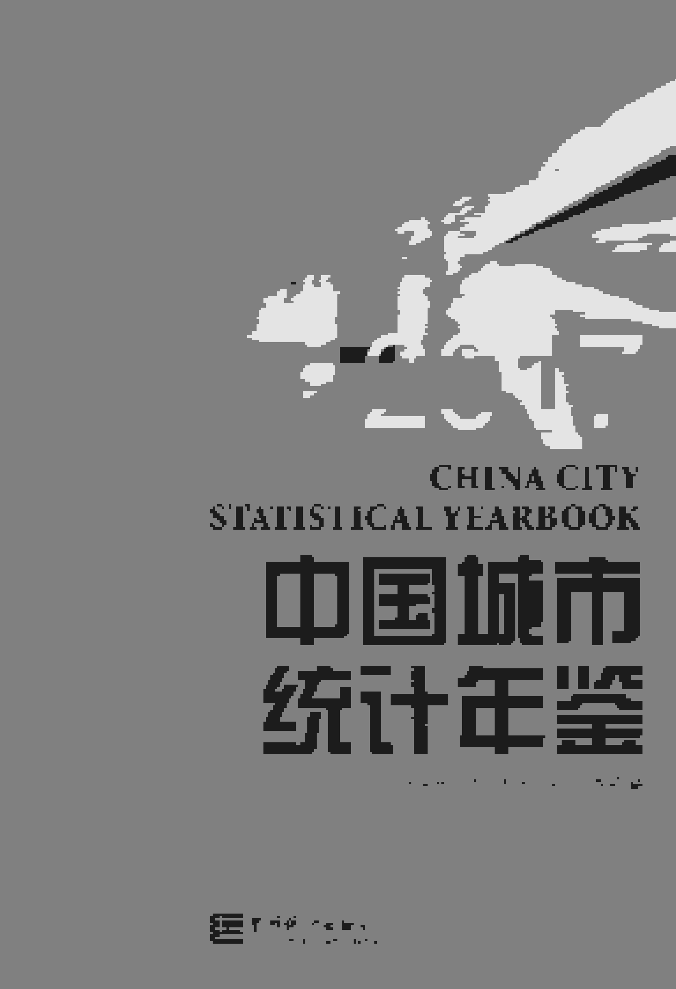 2017年中国城市统计年鉴封面