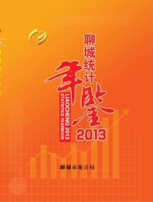 2013年聊城统计年鉴封面