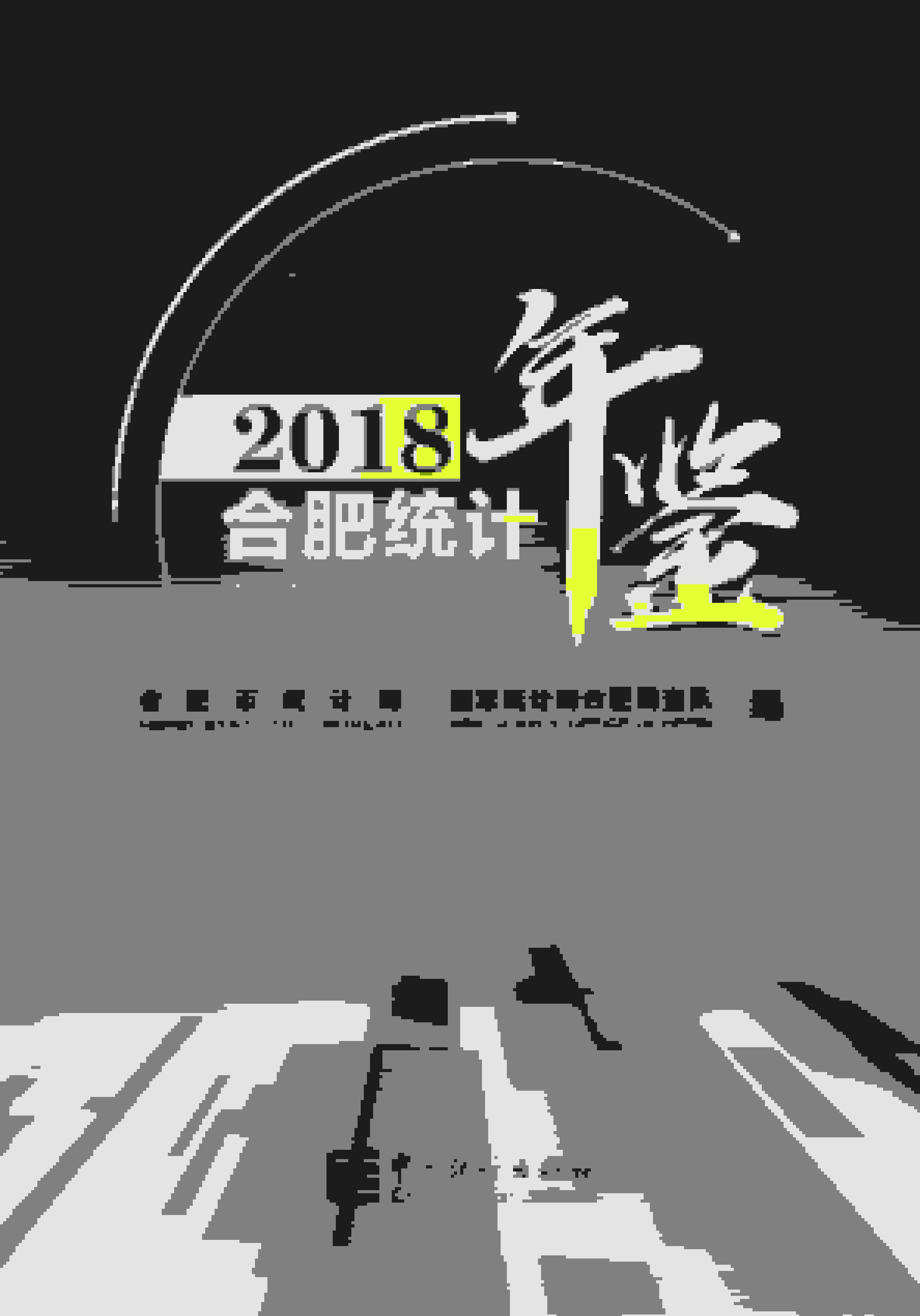 2018年合肥统计年鉴封面