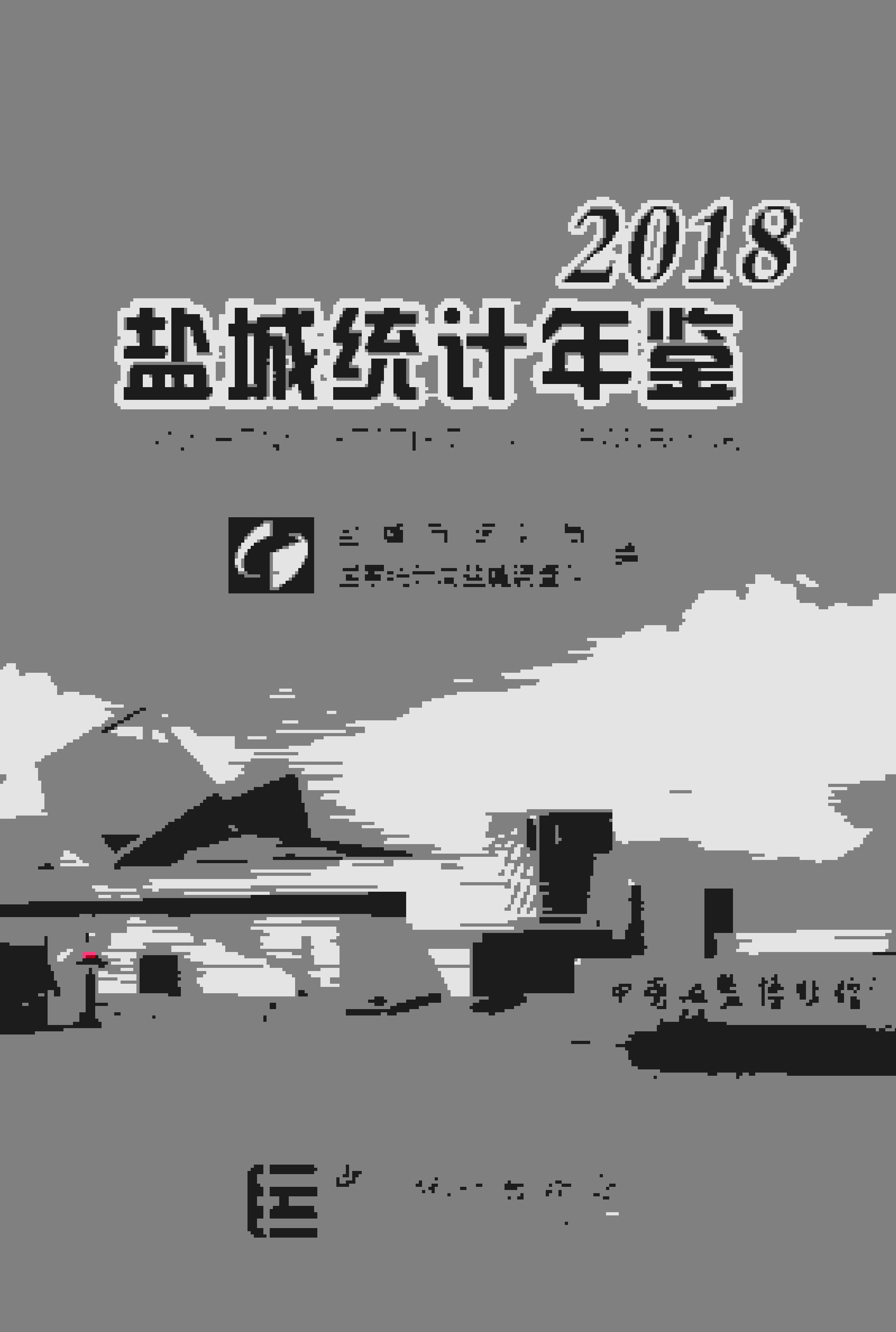 2018年盐城统计年鉴封面