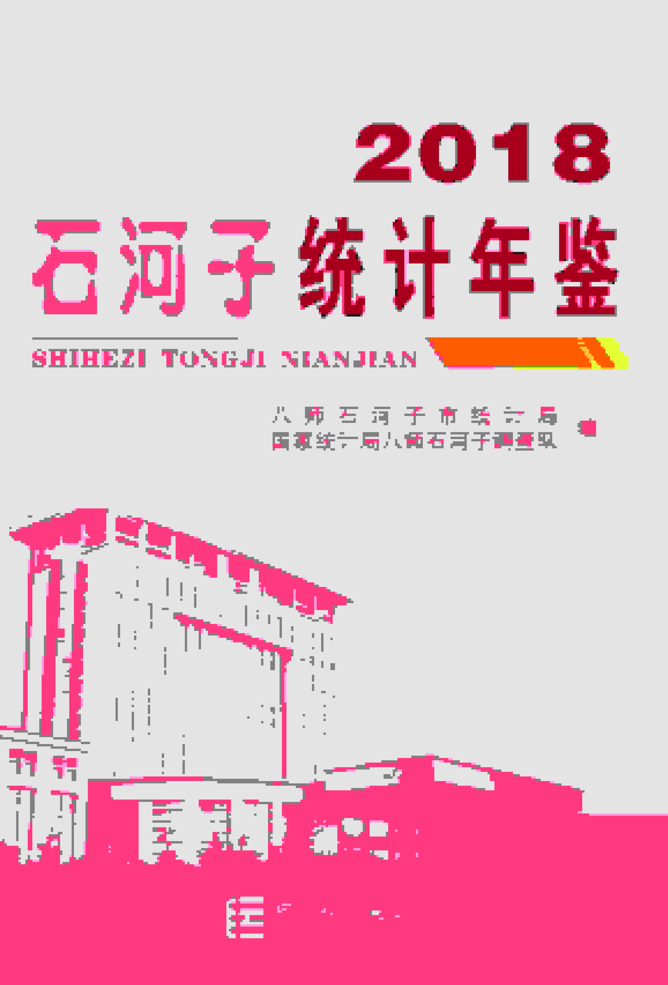2018年石河子统计年鉴封面