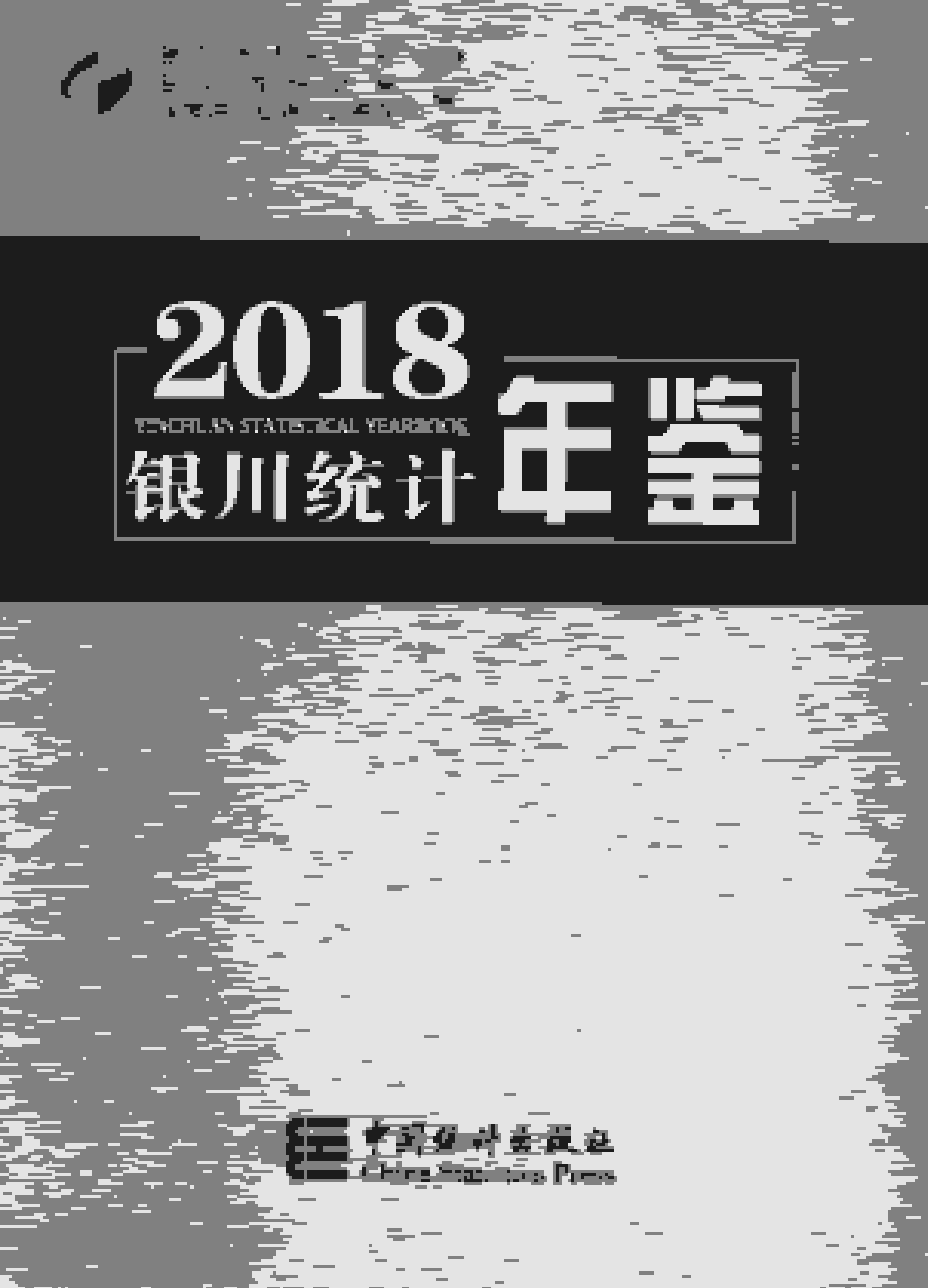 2018年银川统计年鉴封面