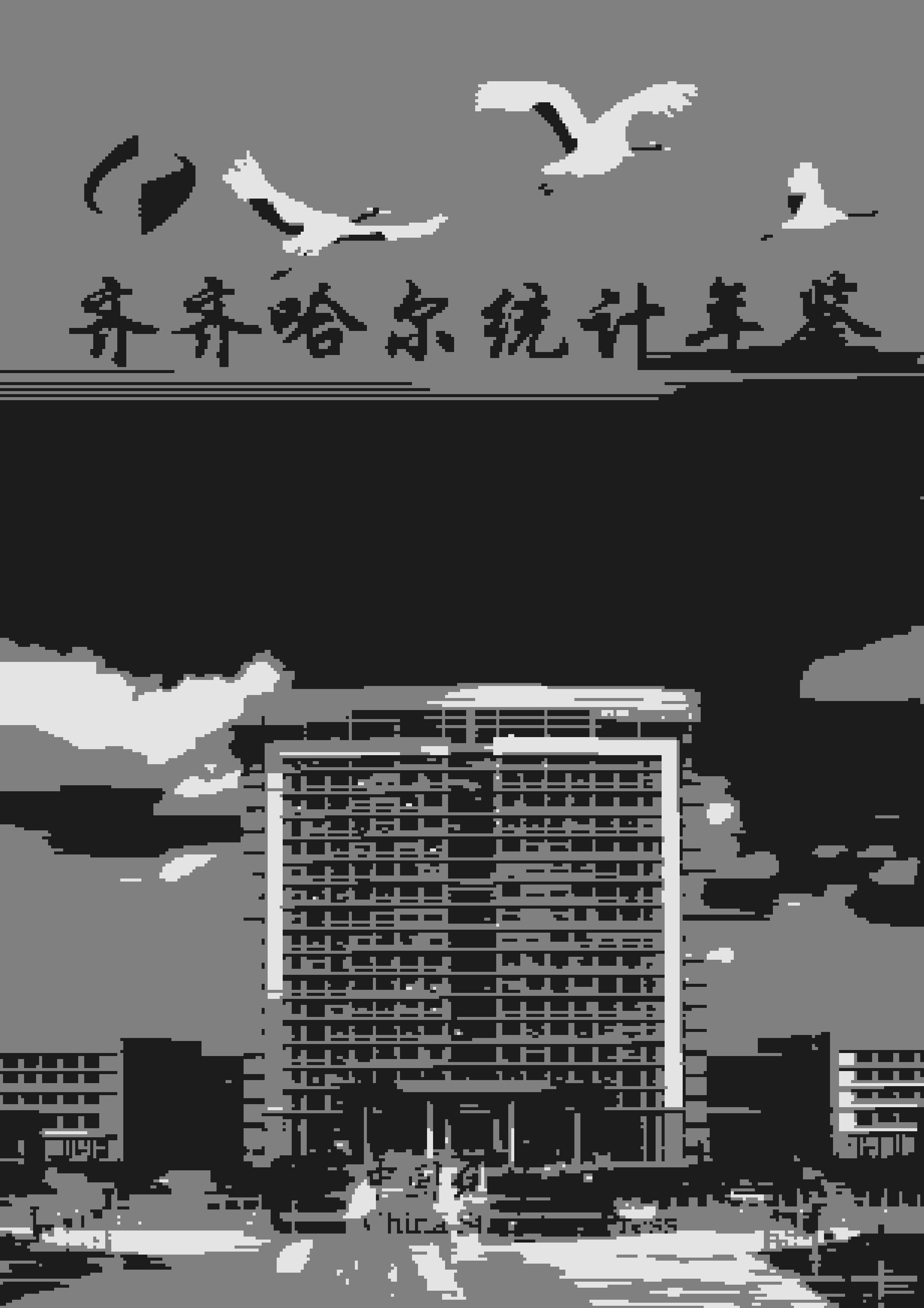 2018年齐齐哈尔经济统计年鉴封面