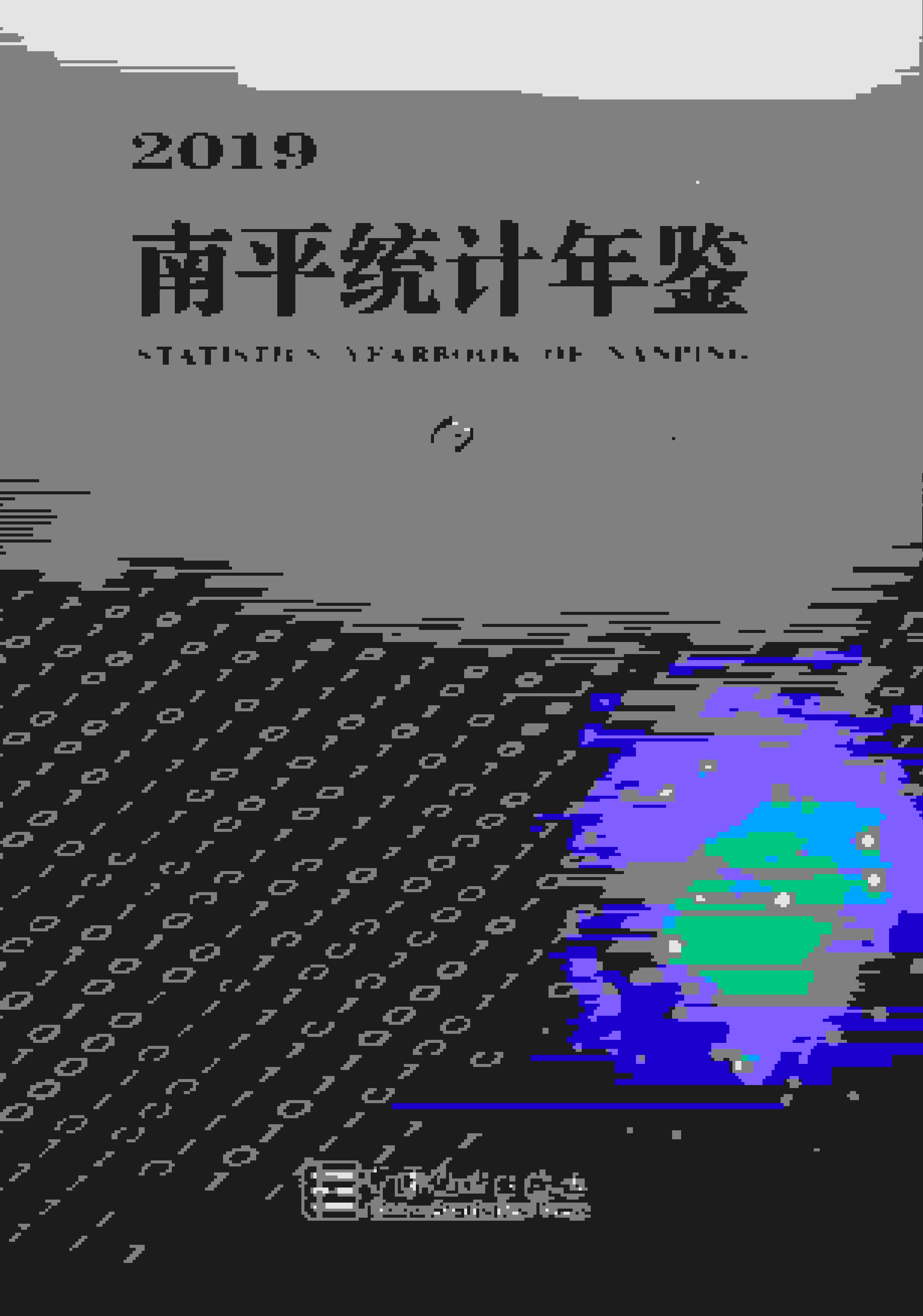 2019年南平统计年鉴封面