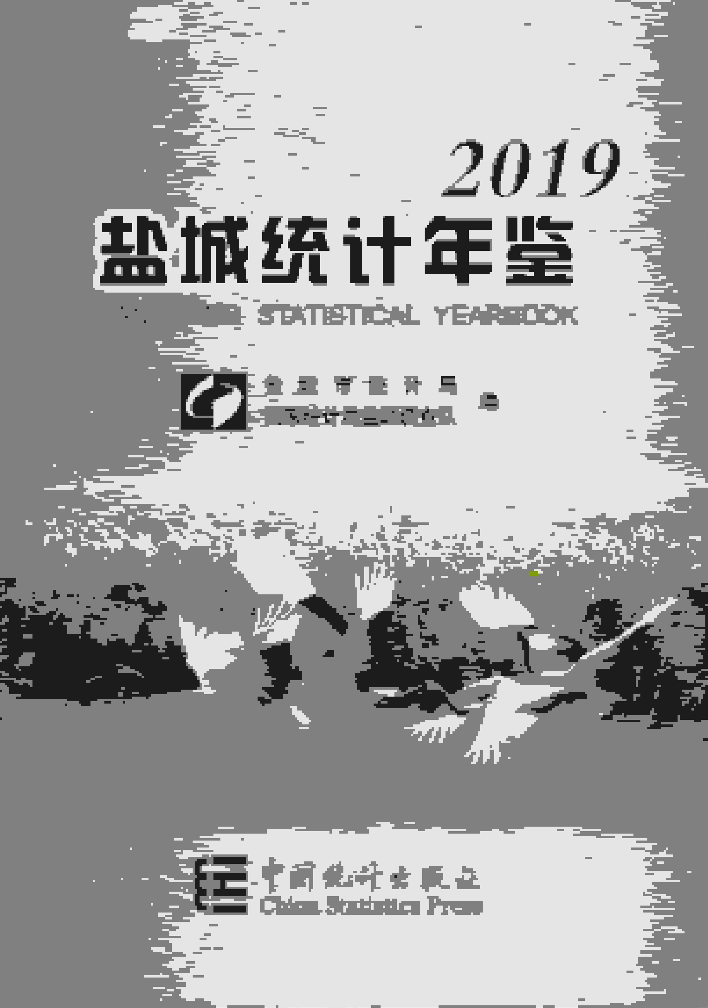 2019年盐城统计年鉴封面