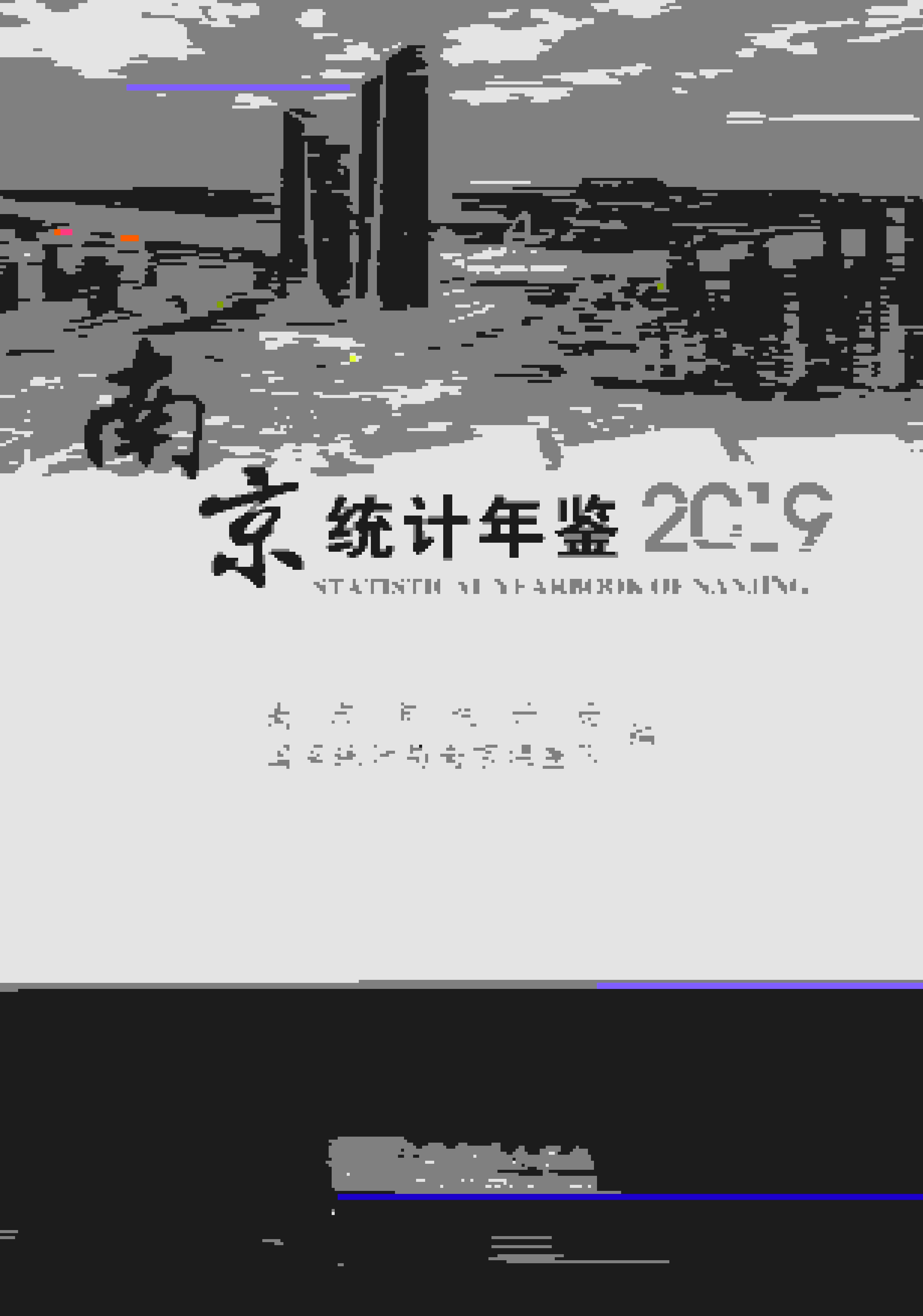 2019年南京统计年鉴封面