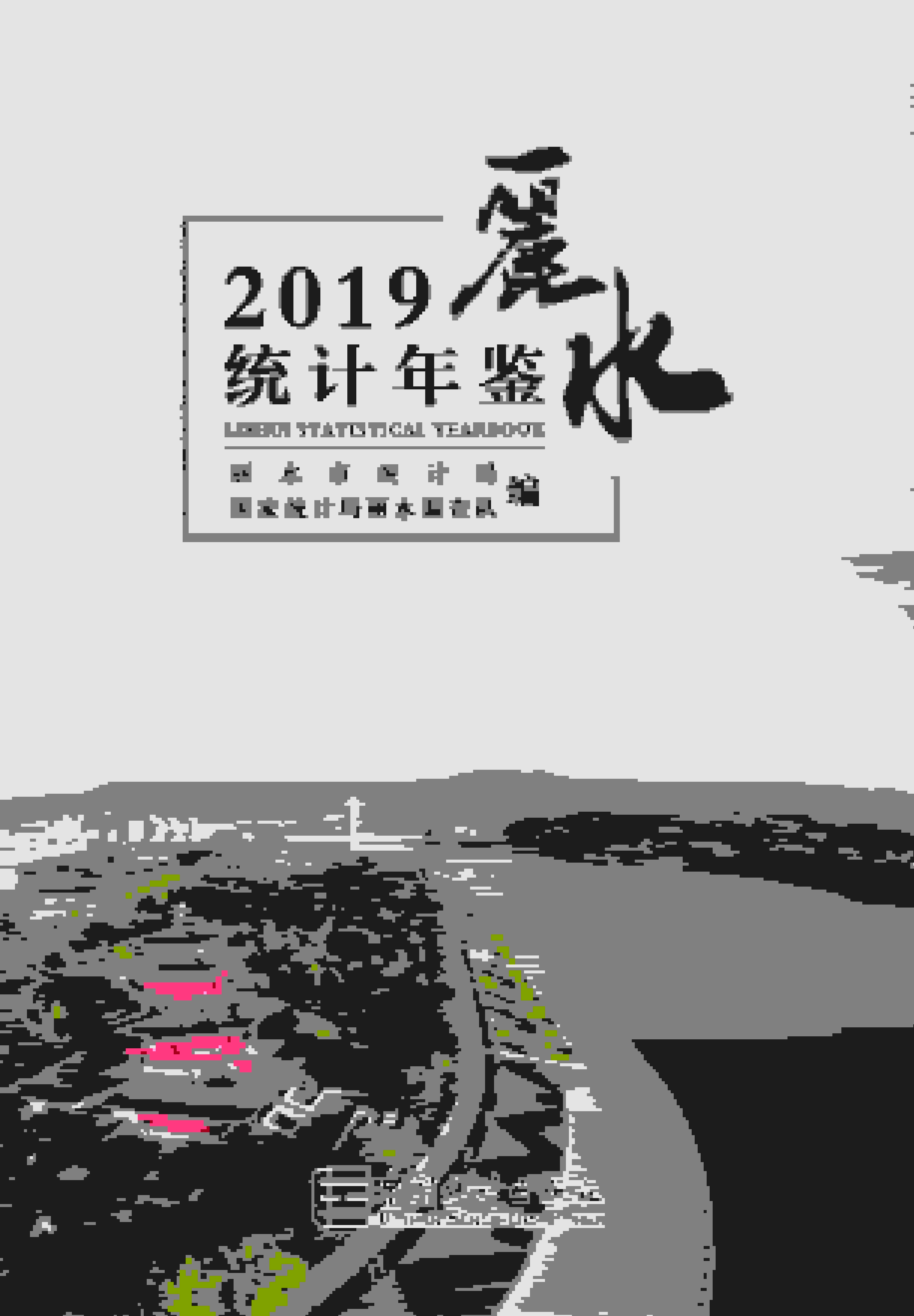 2019年丽水统计年鉴封面