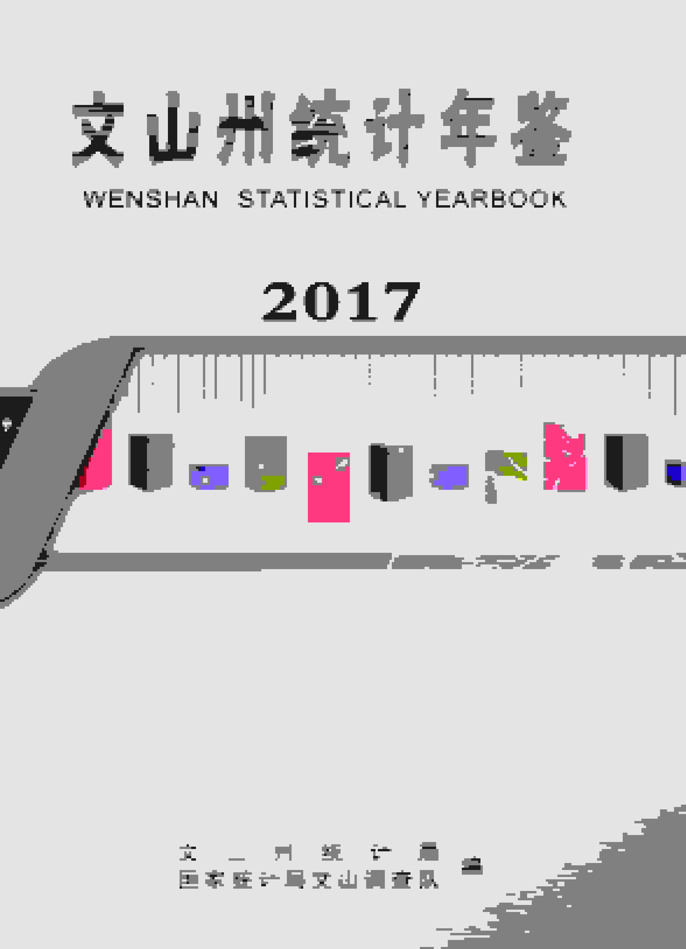 2017年文山州统计年鉴封面