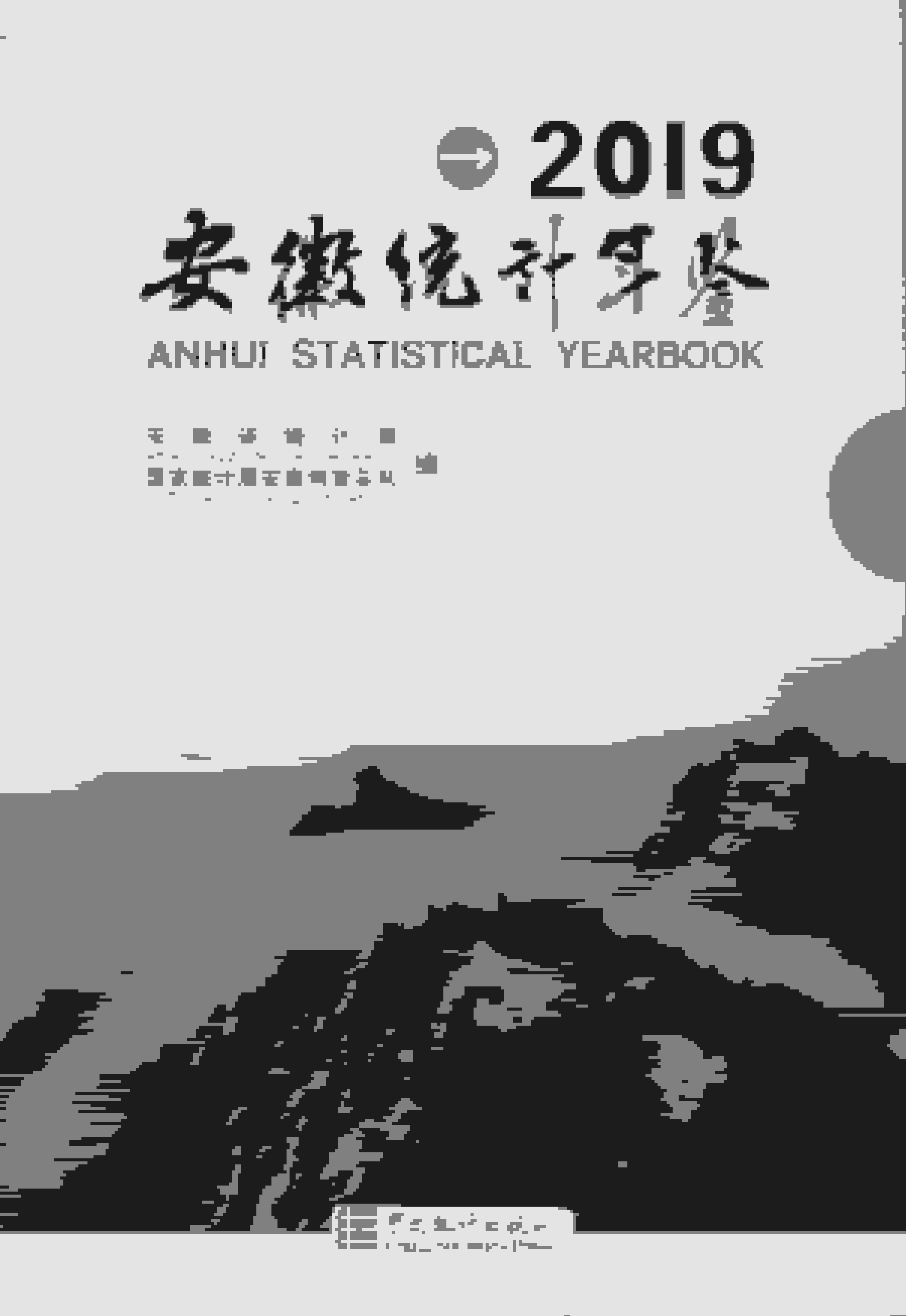 2019年安徽统计年鉴封面