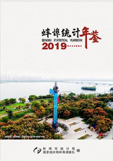 2019年蚌埠统计年鉴封面