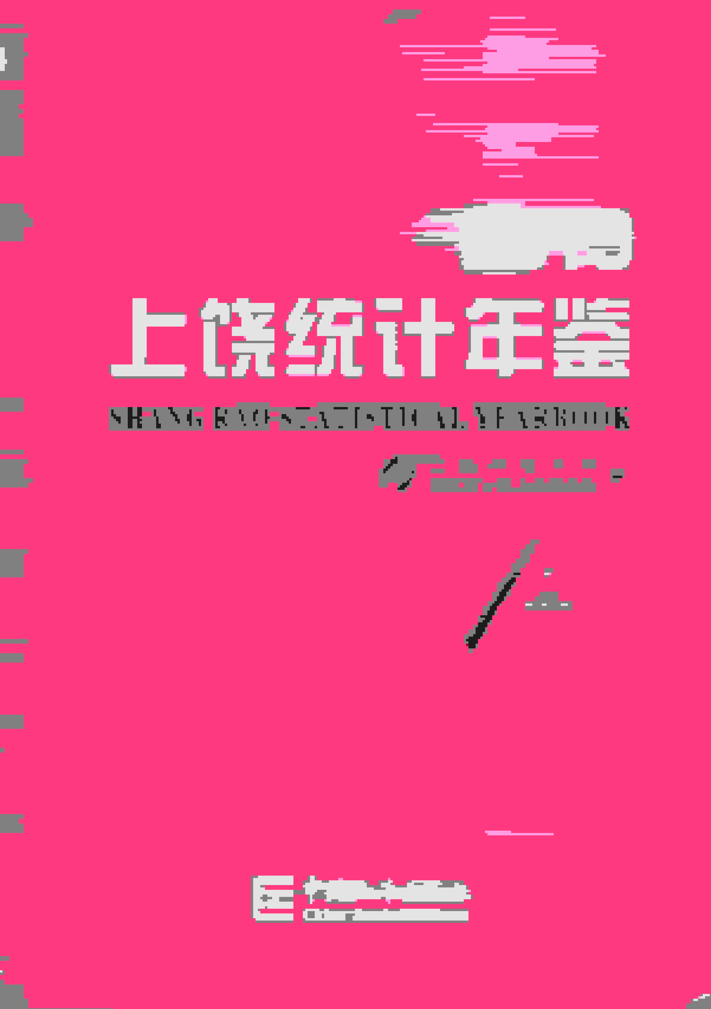 2019年上饶统计年鉴封面