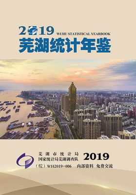 2019年芜湖统计年鉴封面