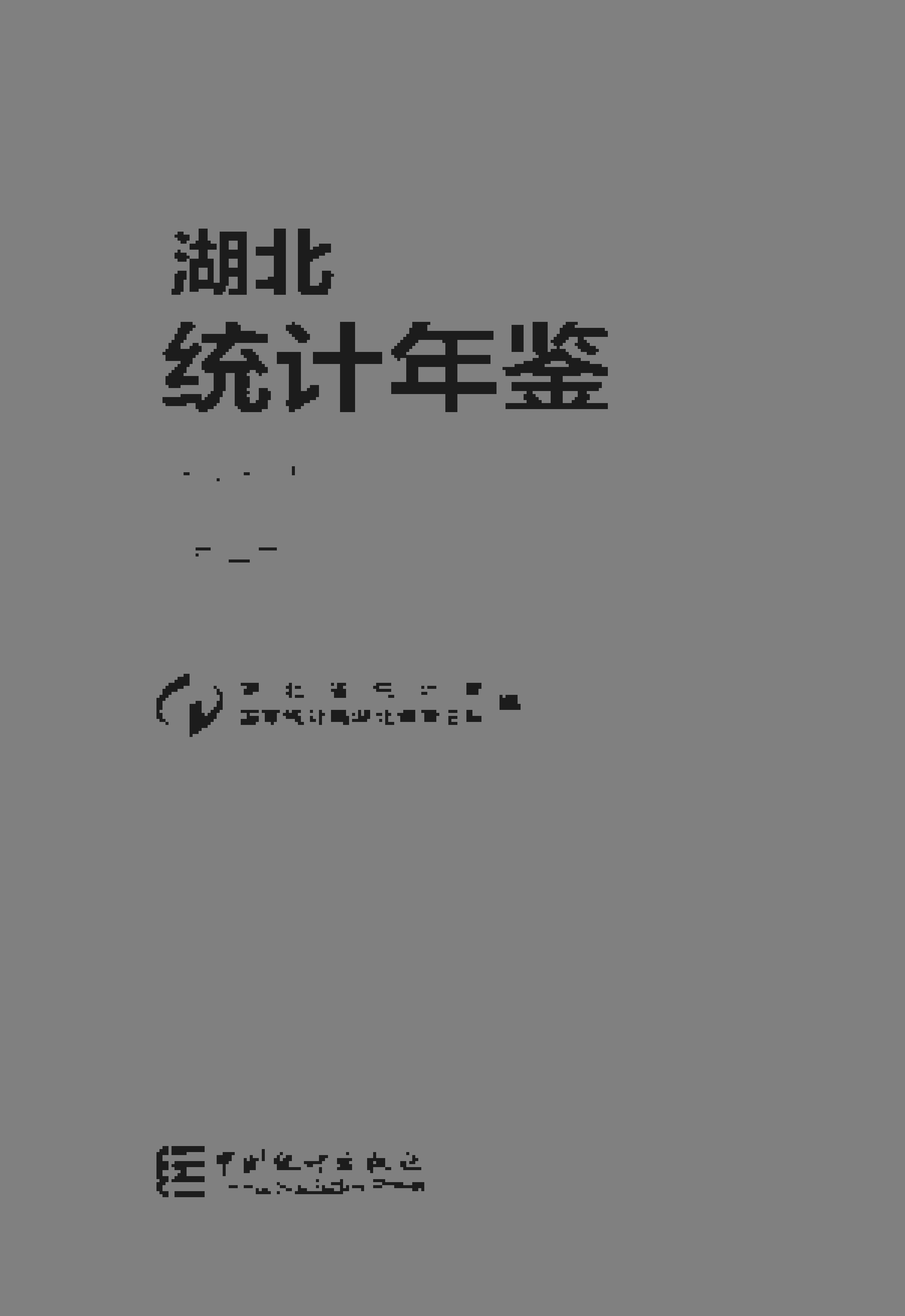 2019年湖北统计年鉴封面