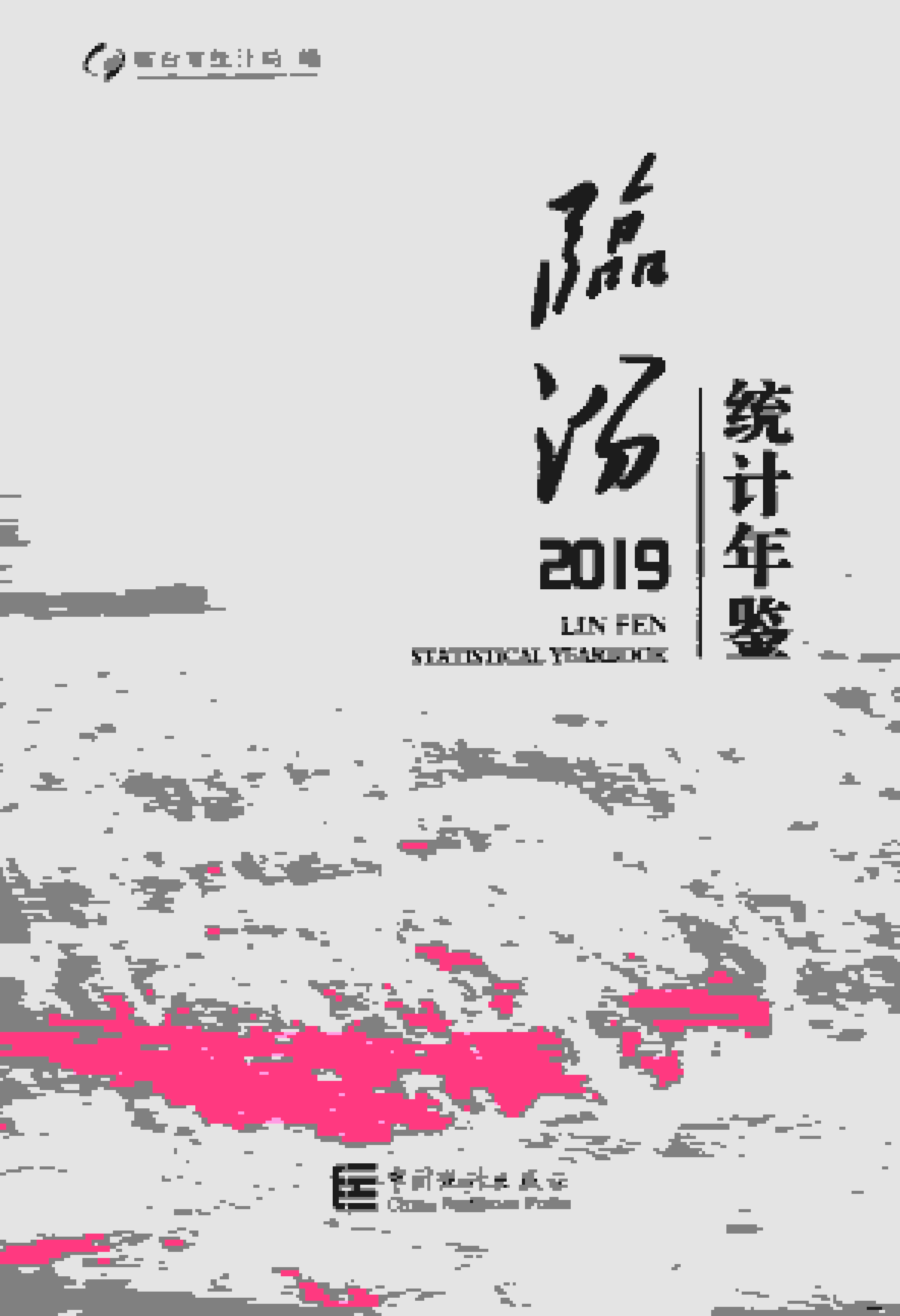 2019年临汾统计年鉴封面