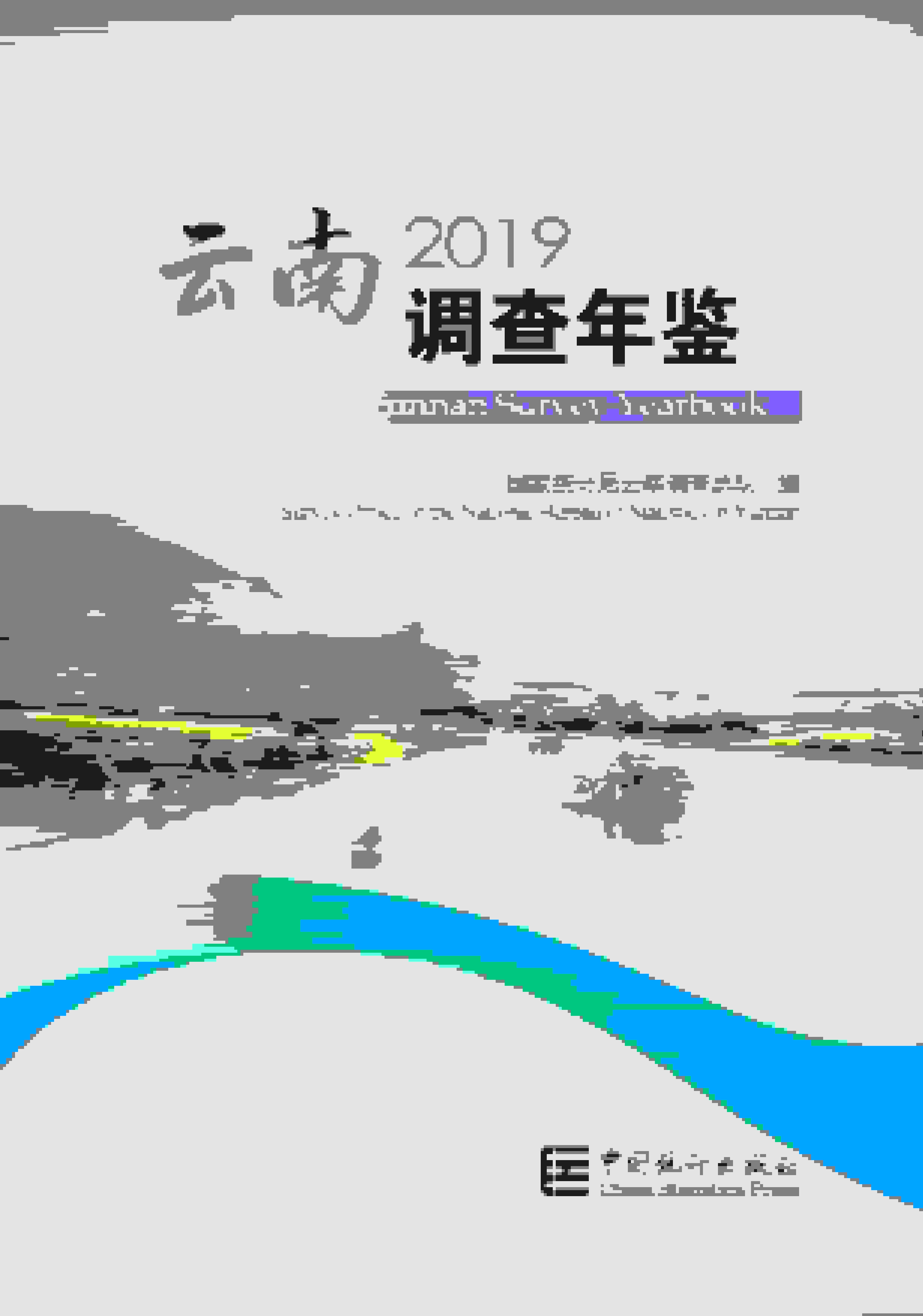 2019年云南调查年鉴封面
