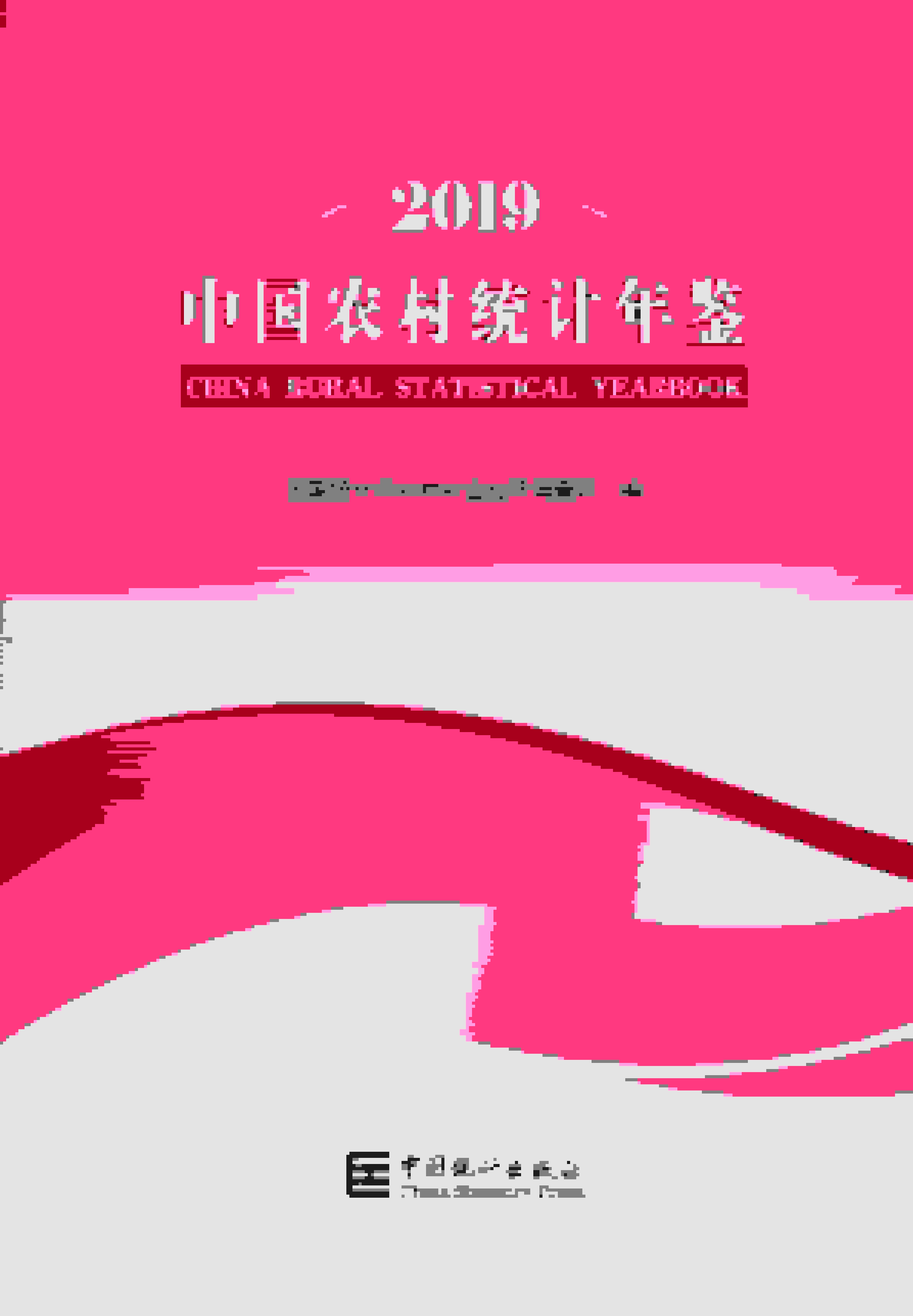 2019年中国农村统计年鉴封面