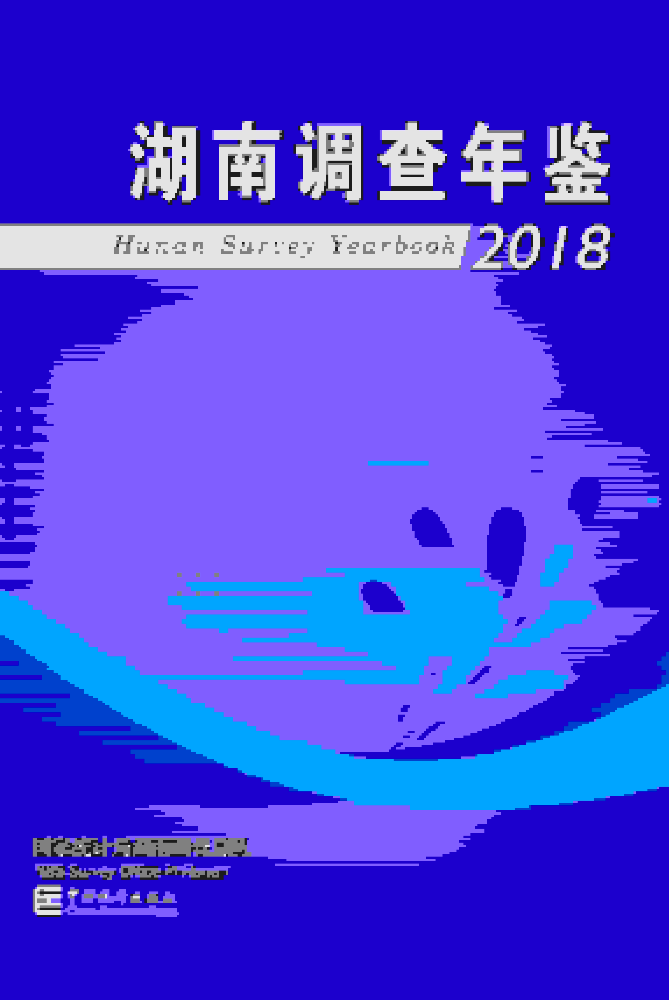 2018年湖南调查年鉴封面