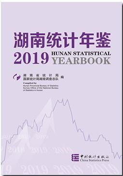 2019年湖南统计年鉴封面