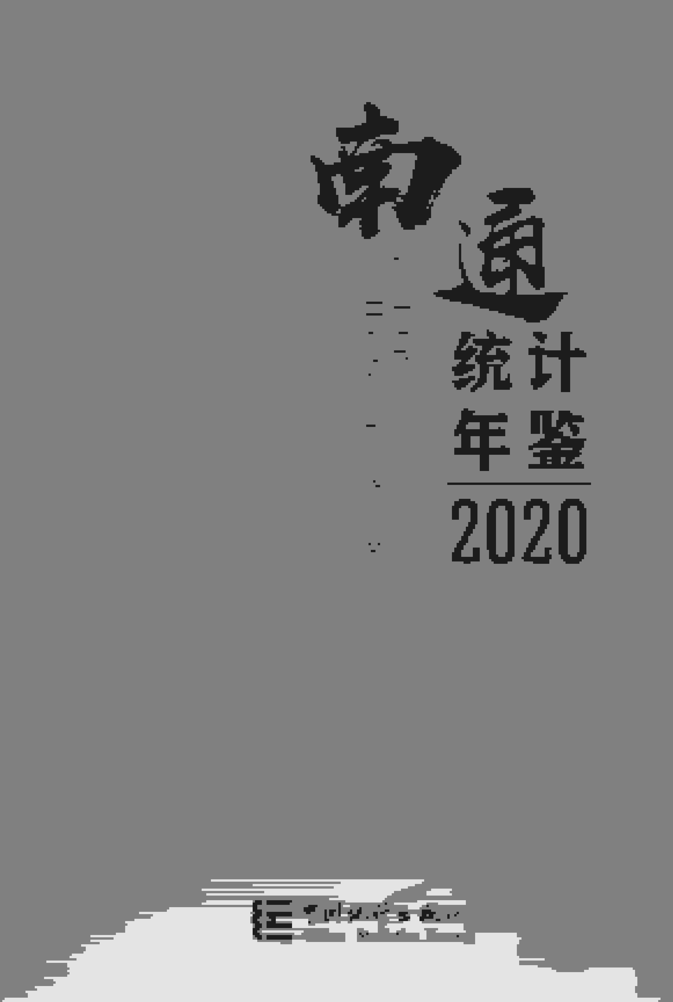 2020年南通统计年鉴封面